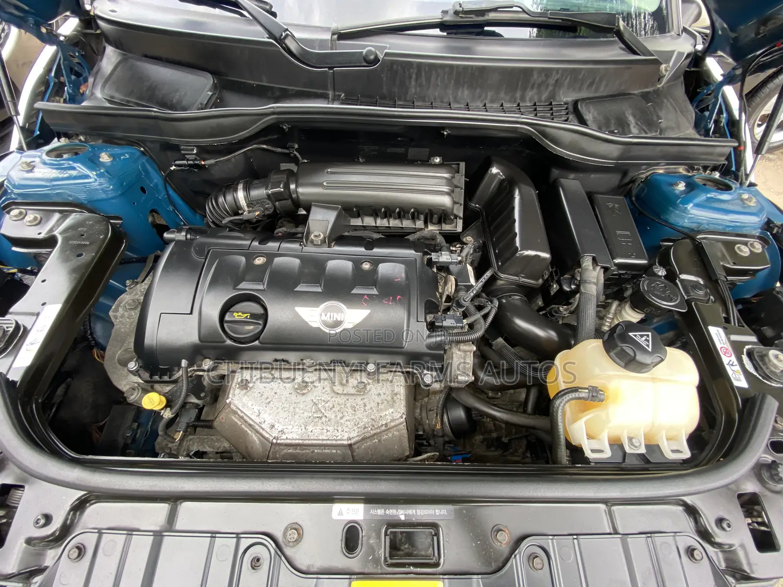 Mini Countryman 2011 Blue