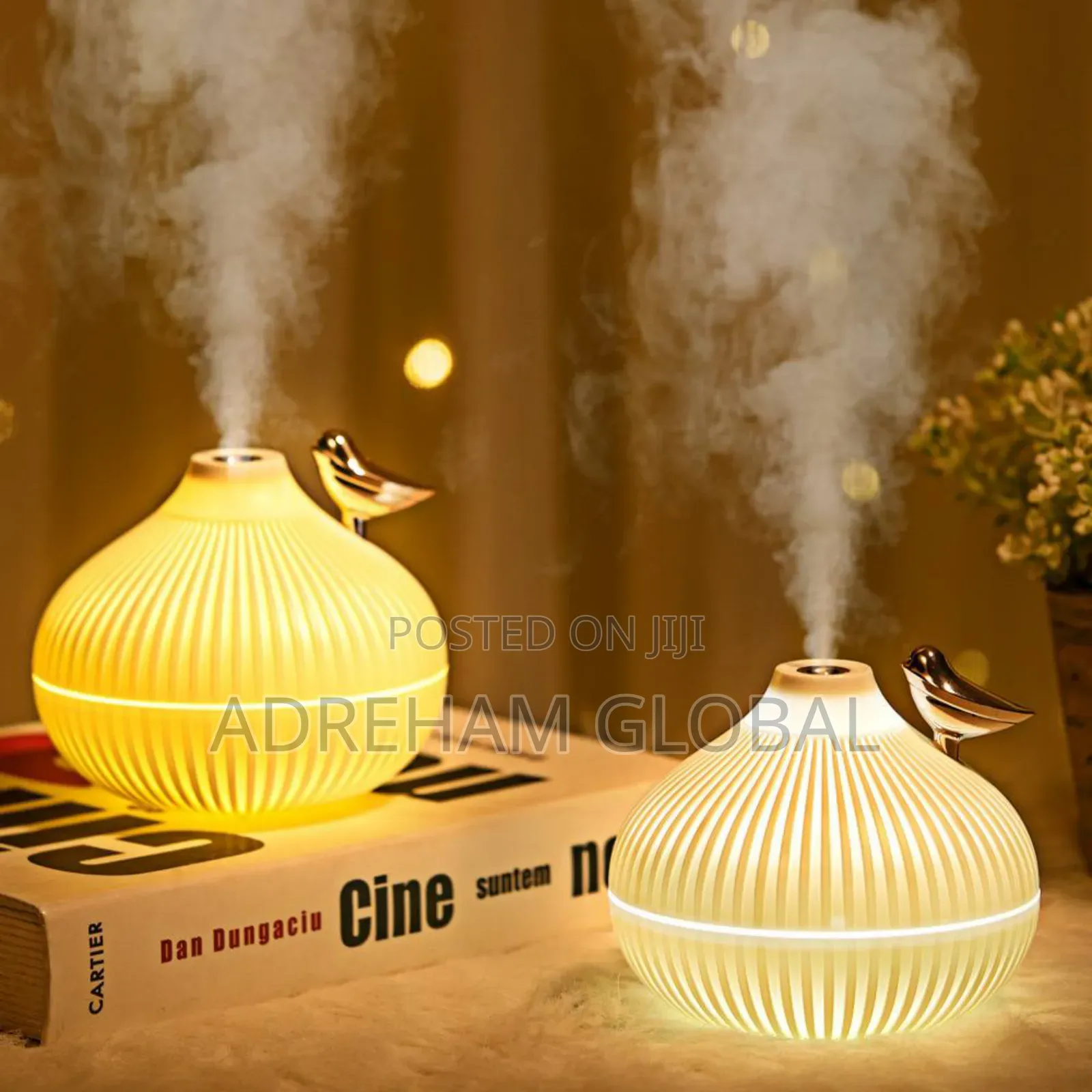 Onion Shape Electric Ultra Sonic House/Office Humidifier