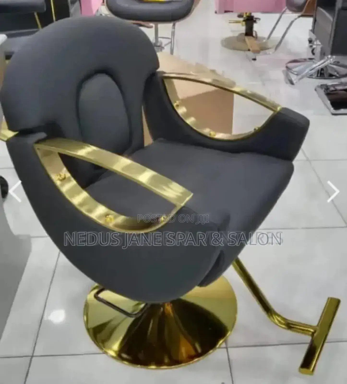 Professional Salon/Spa Leather Chairs.
