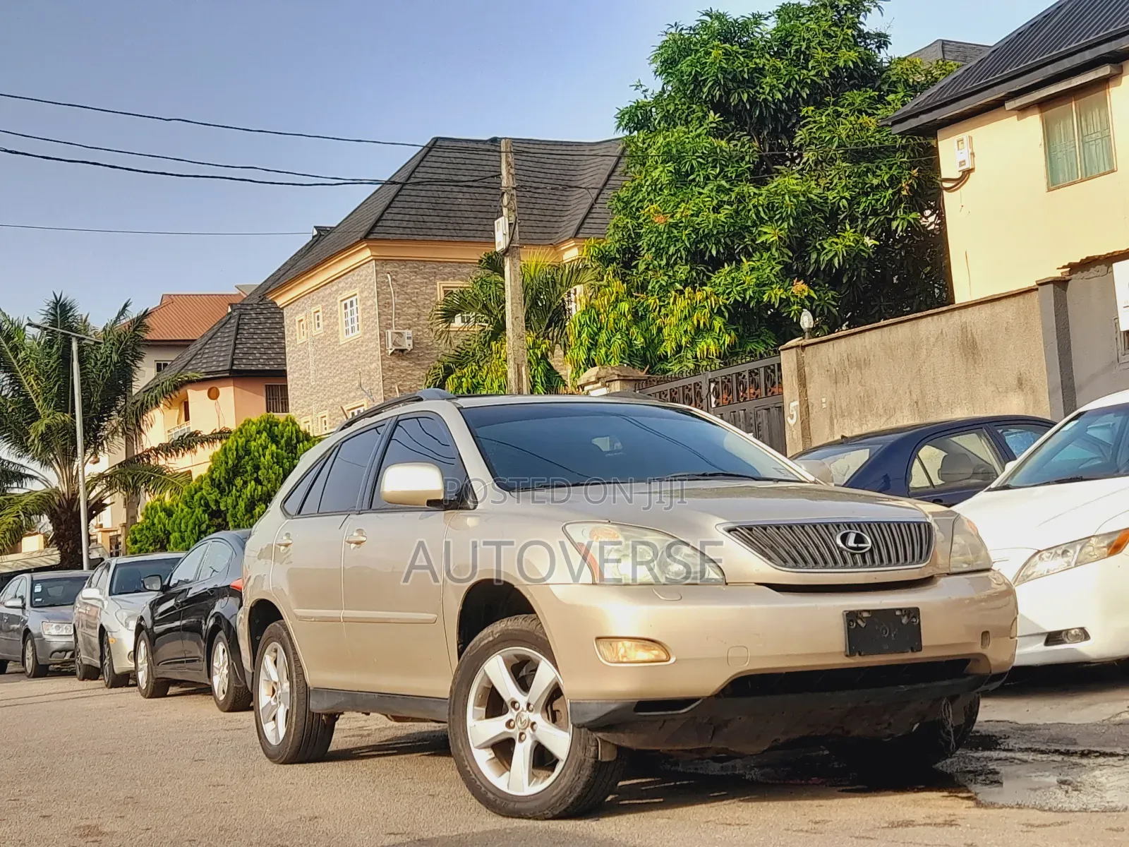 Lexus RX 330 2005 Gold