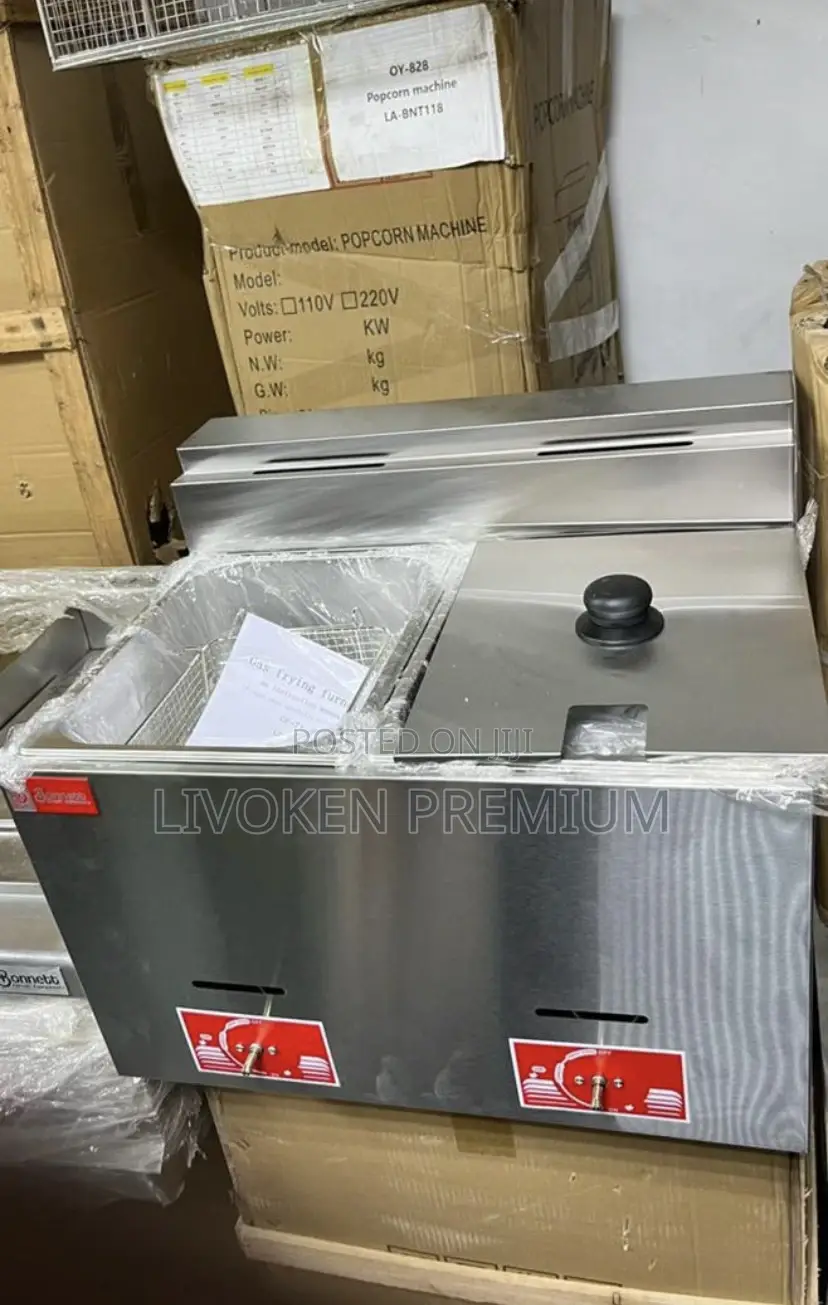 Double Gas Fryer