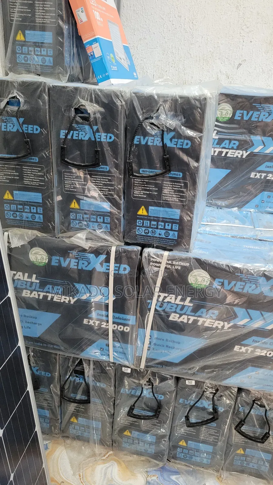 220ah 12v Everxeed Tall Tubular Battery Carbon Inside