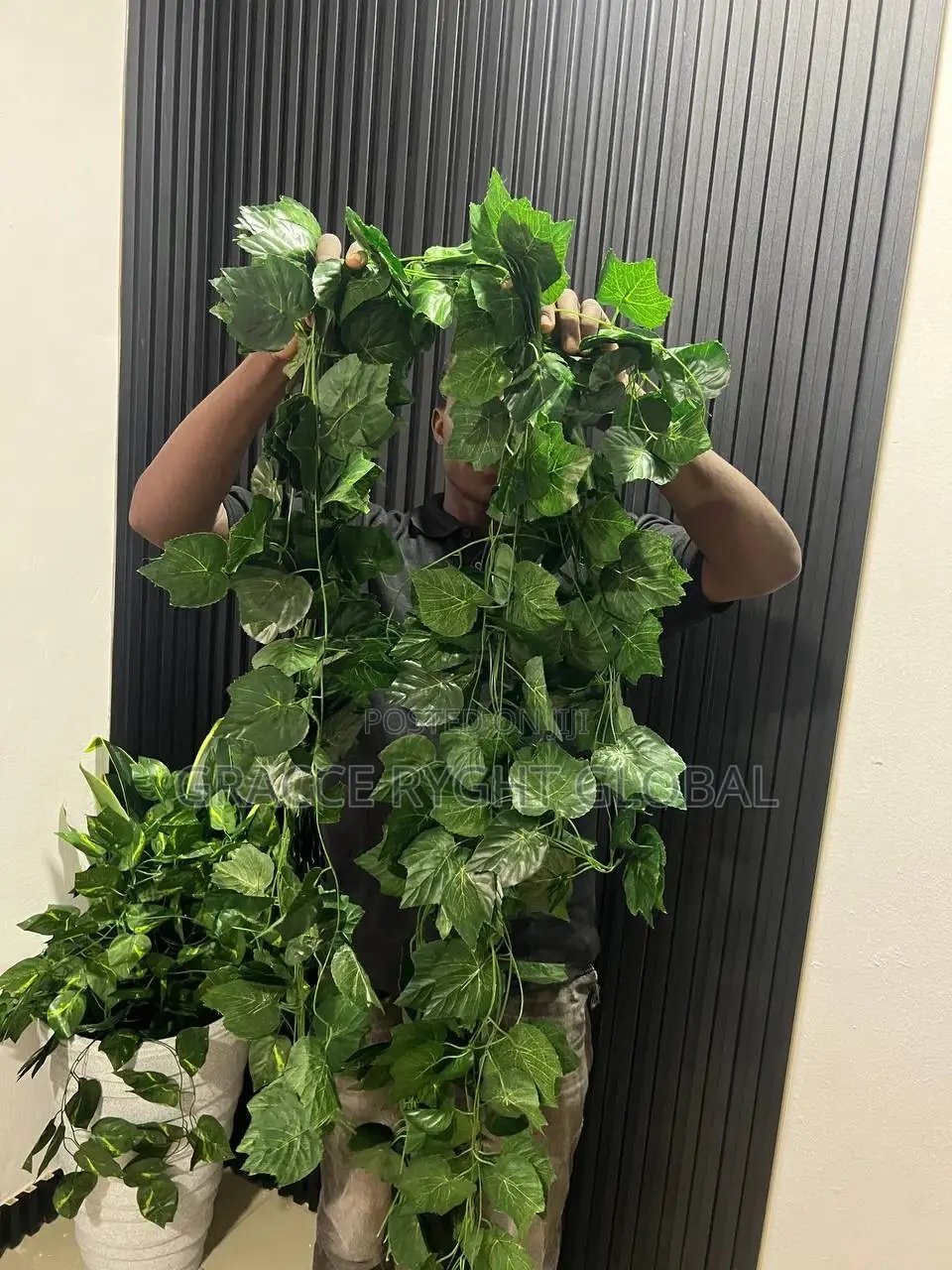 Vine Leaves Creeping Flower