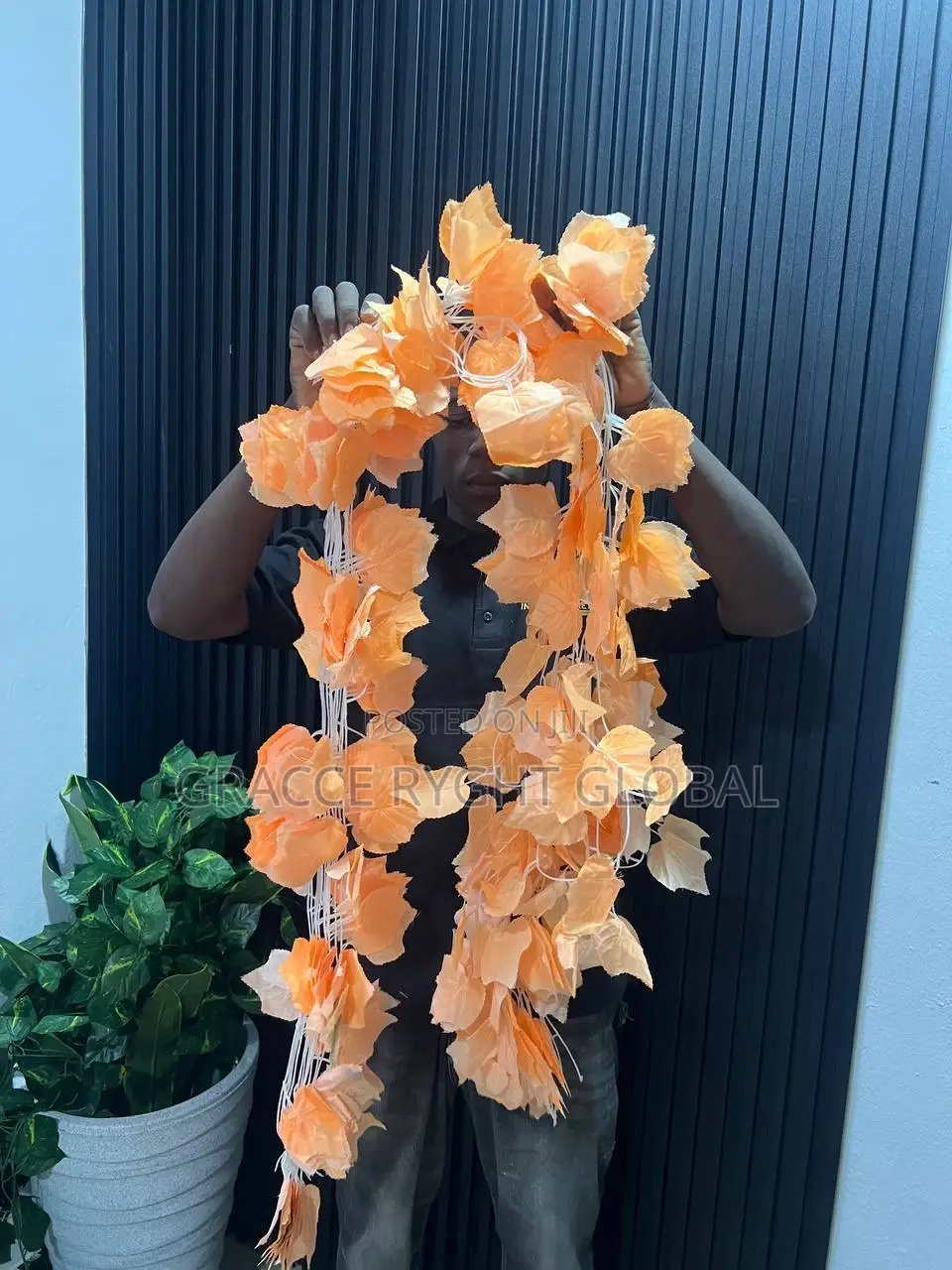 Vine Leaves Creeping Flower