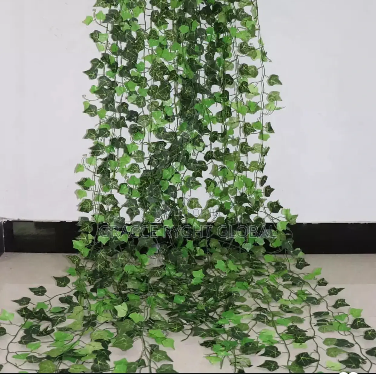 Vine Leaves Creeping Flower