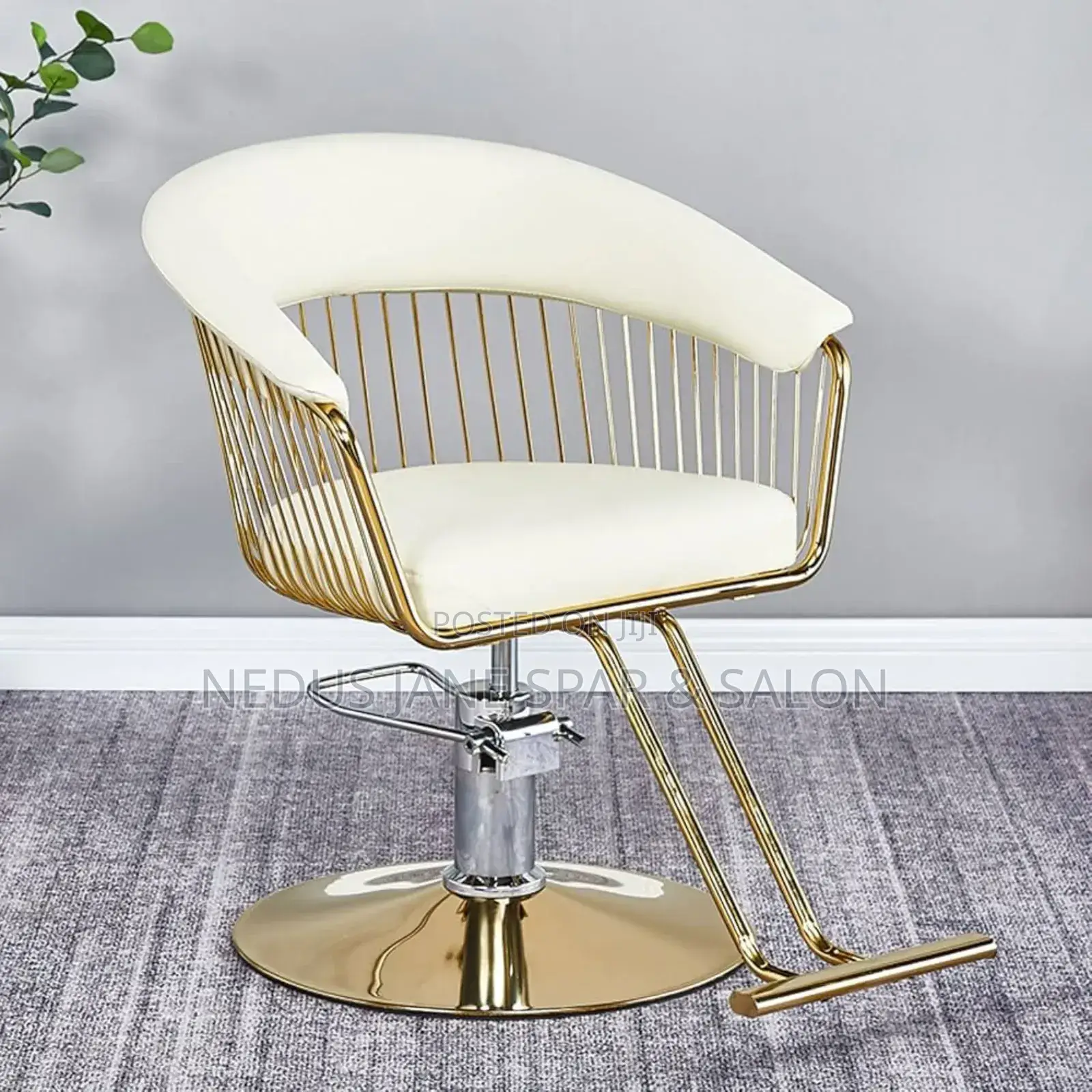Solid Salon and Spa Chair