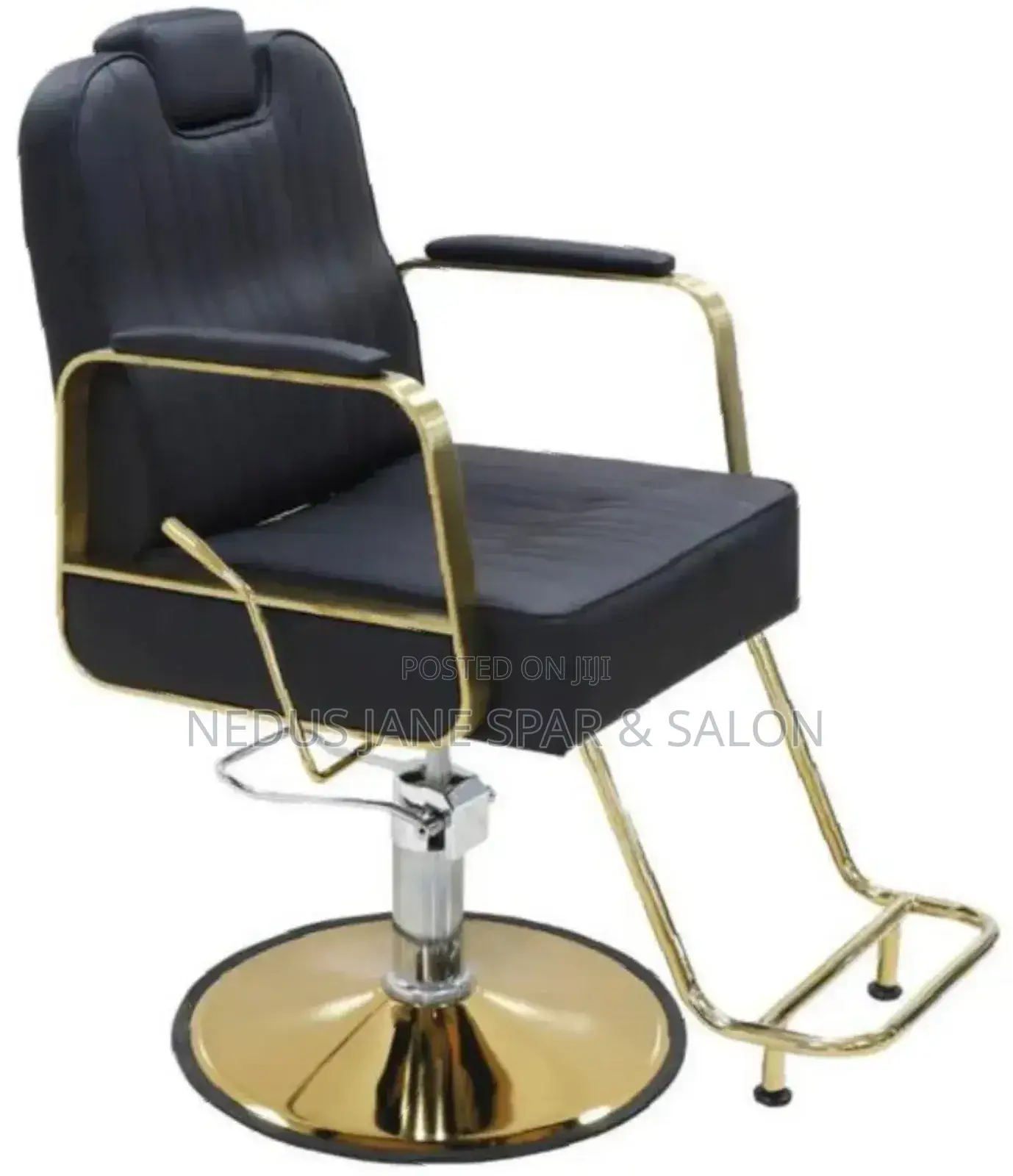 Salon Chairs Executive