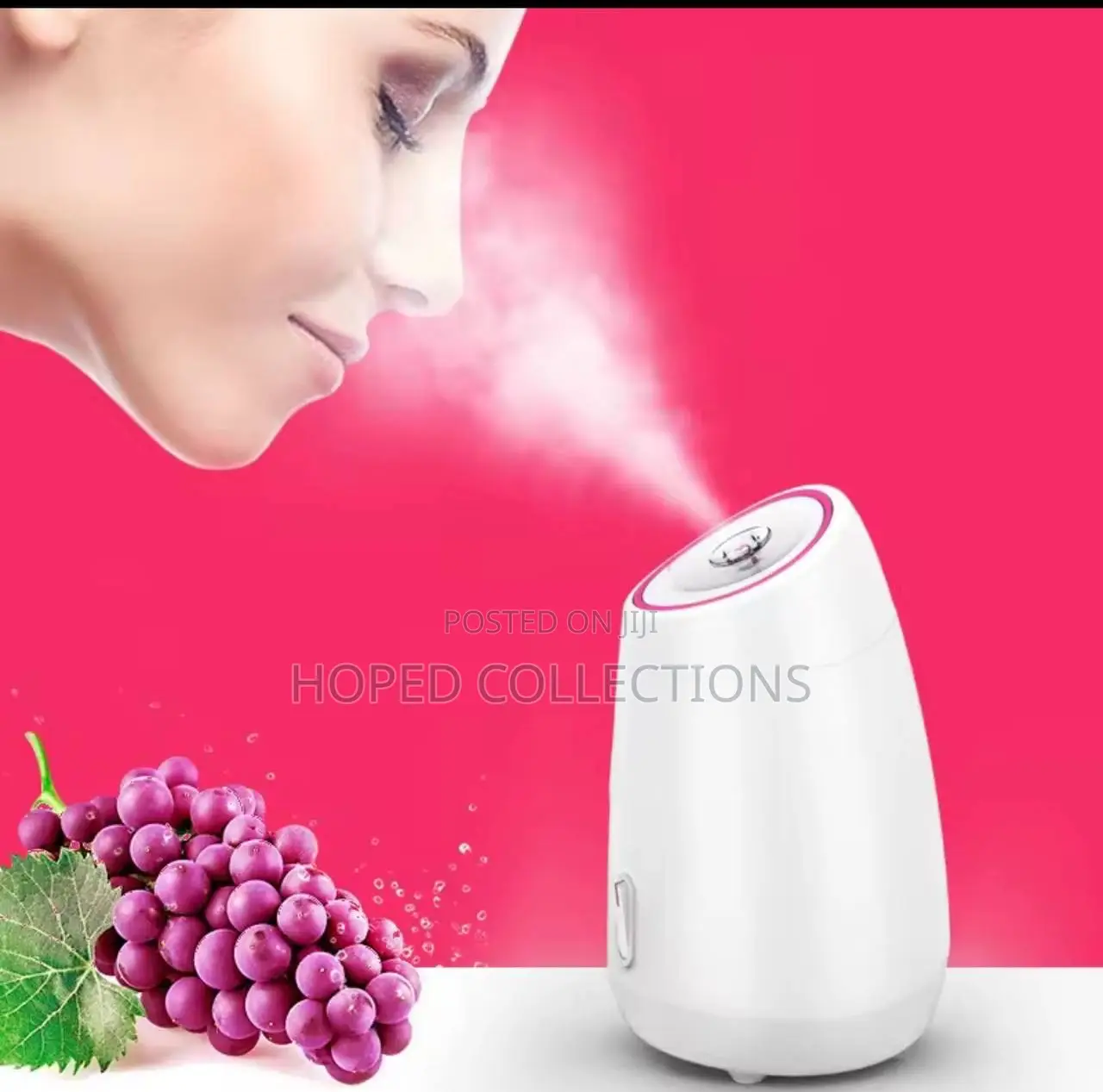 Face Steamer Humidifier