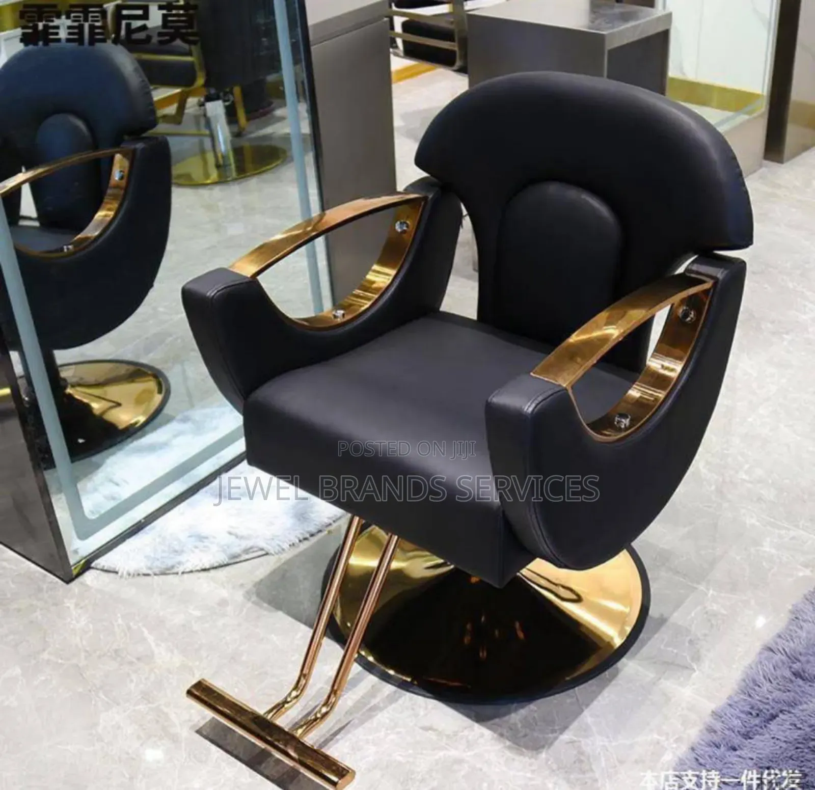 Salon Chair