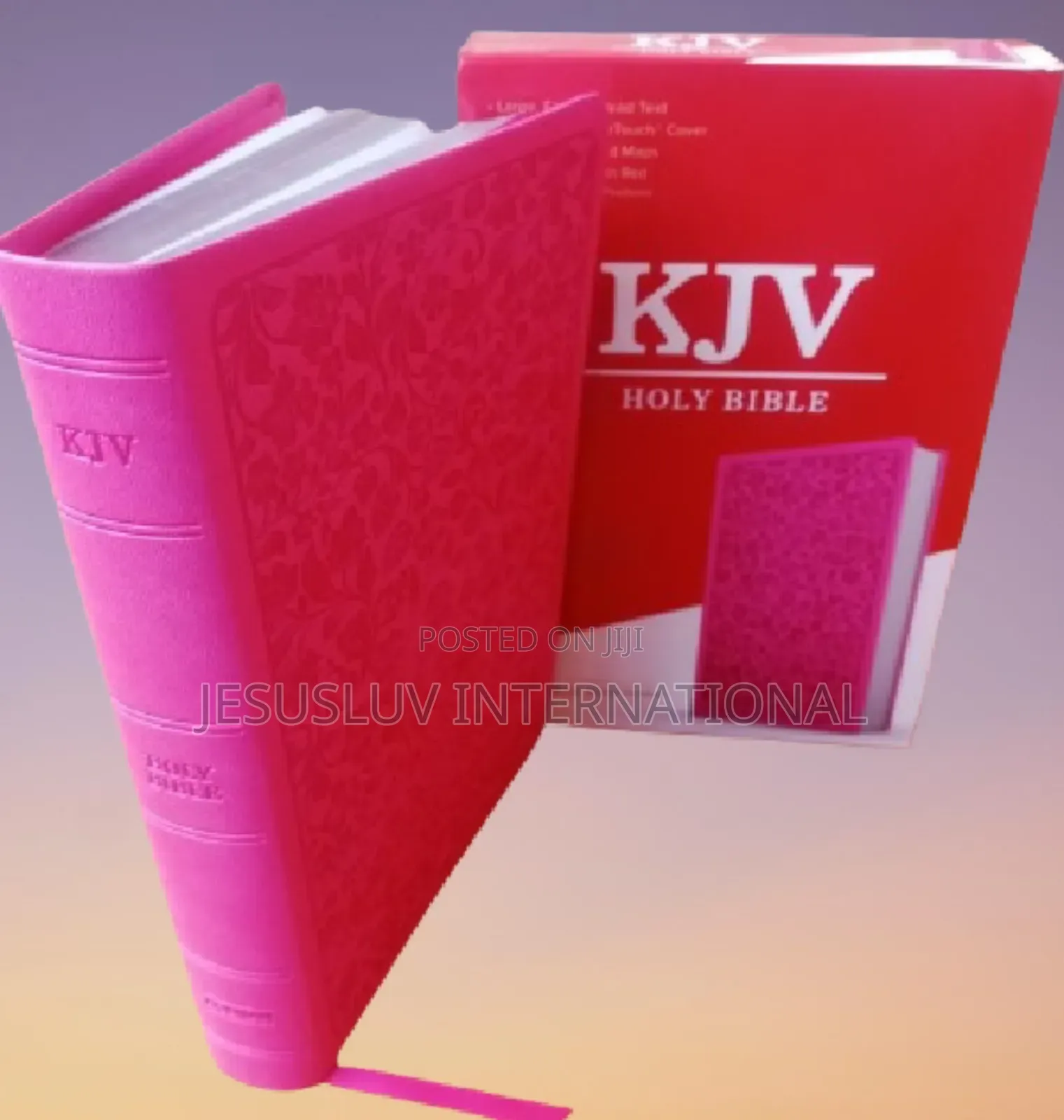 KJV Large Print Personal Size Reference Bible, Pink Leather