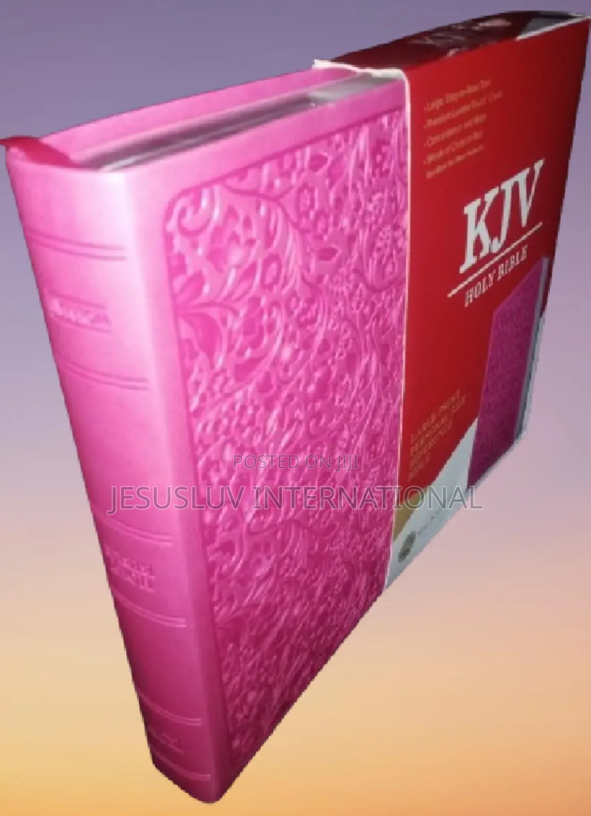 KJV Large Print Personal Size Reference Bible, Pink Leather