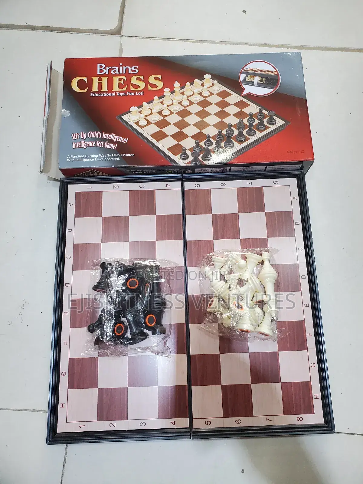 Big Chess Foldable Chess