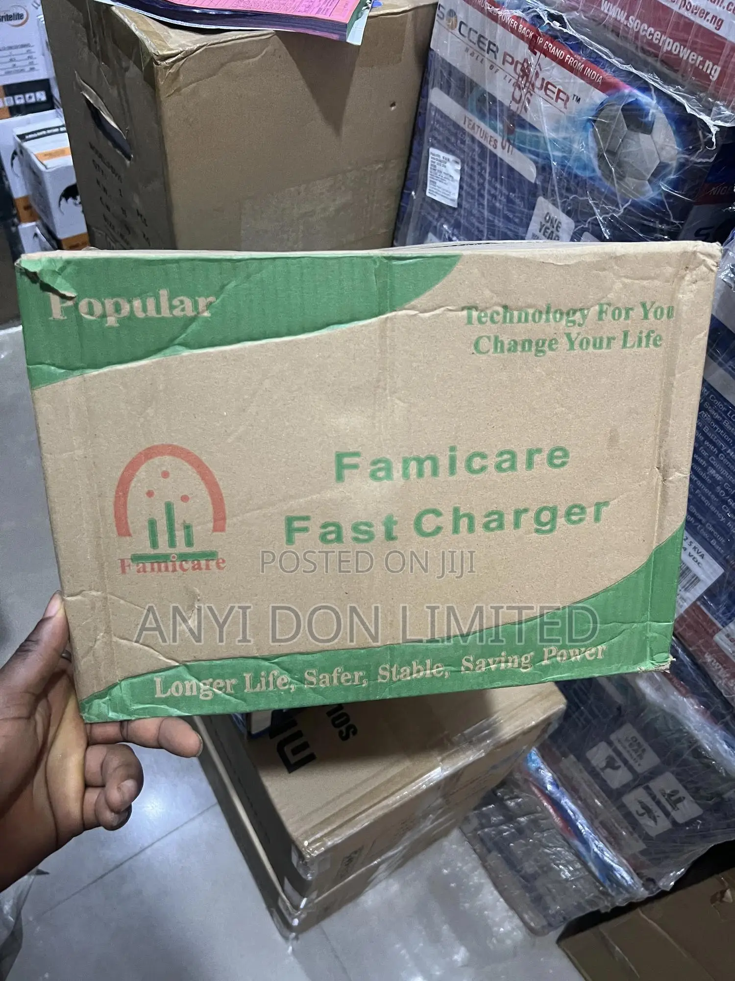 Famicare Battery Charger 12v/24v/48v