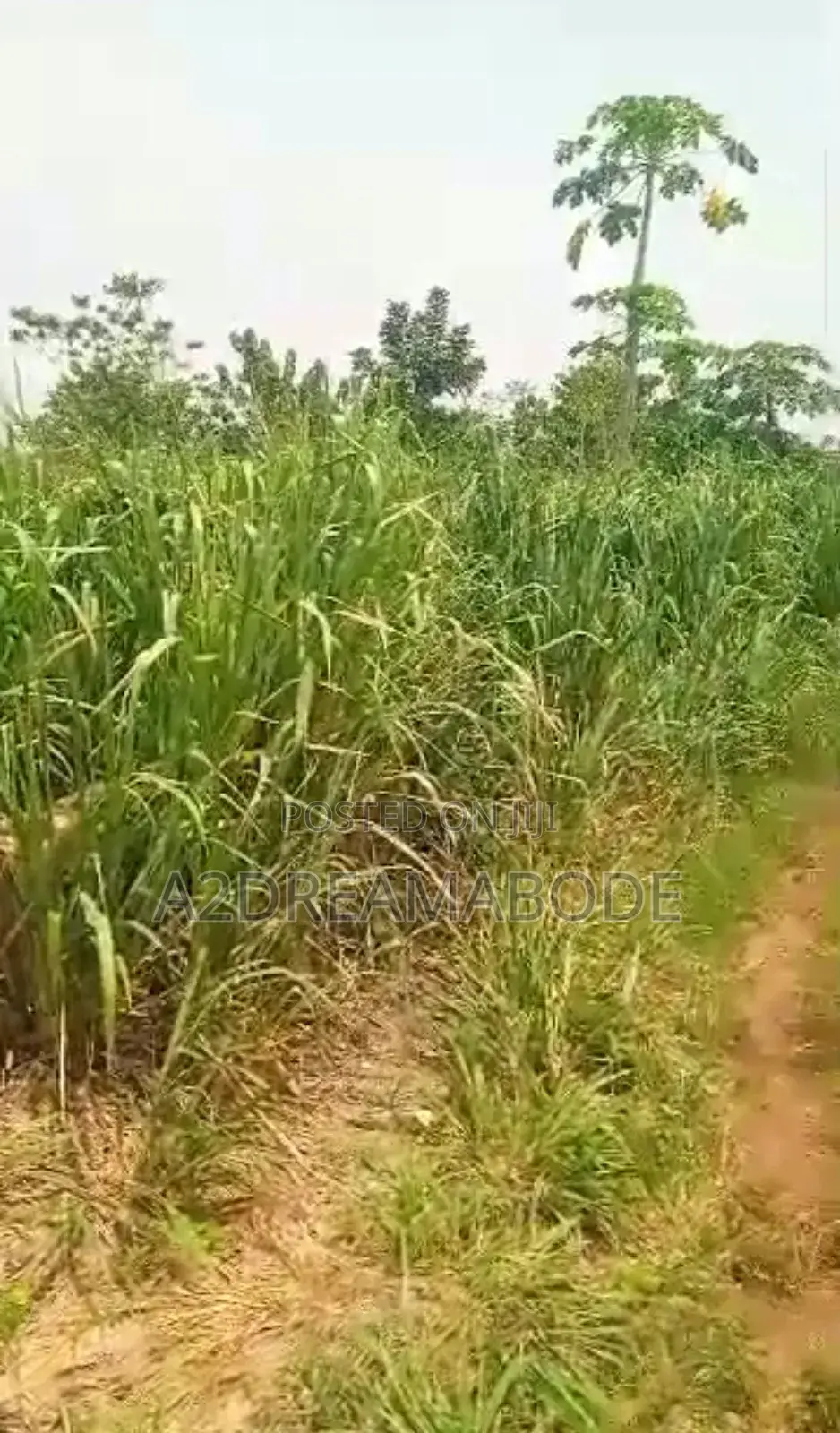 Standard Prime Plot