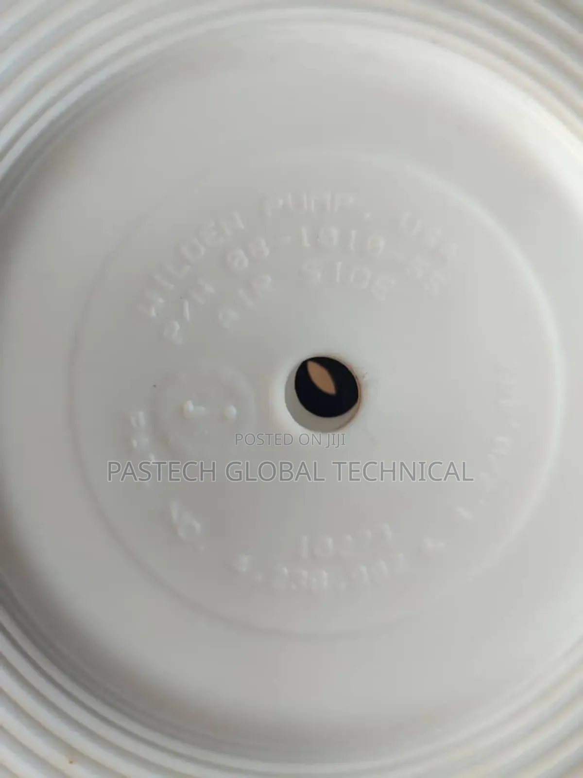 Wilden Diaphragm Used in 2" Pumps, P/N 