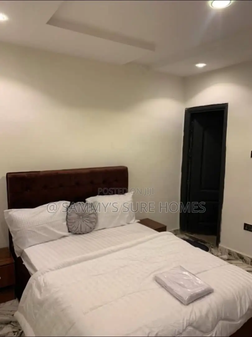 Furnished 2bdrm Block of Flats in Wuse Zone 6 for rent
