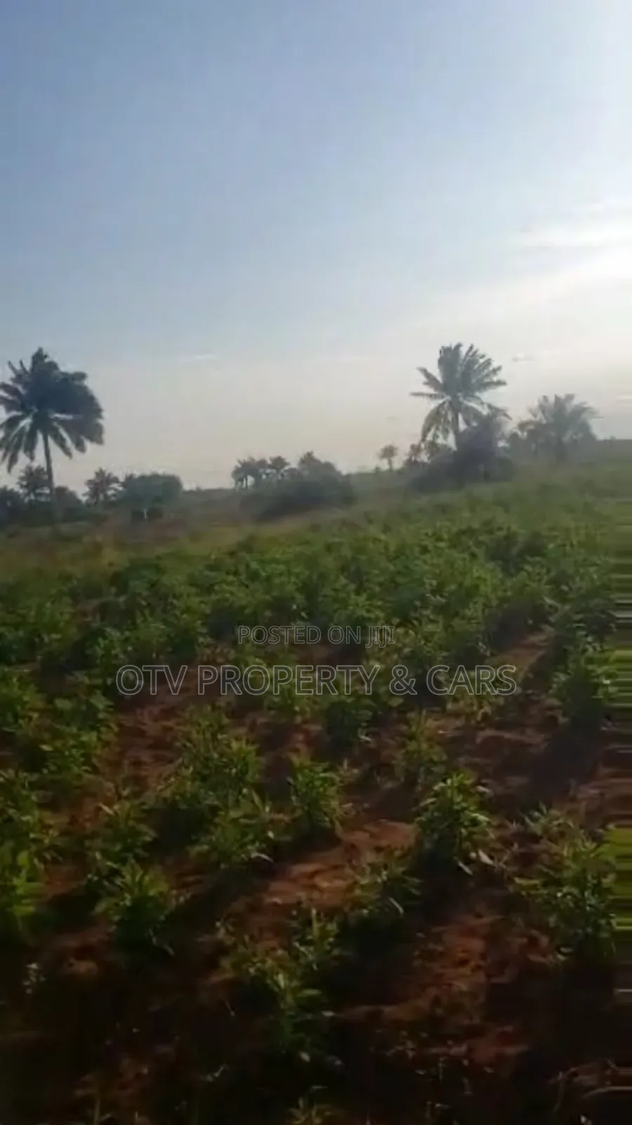 215 Acres of Land for Sale at Ogun #6m/Acre With C of O