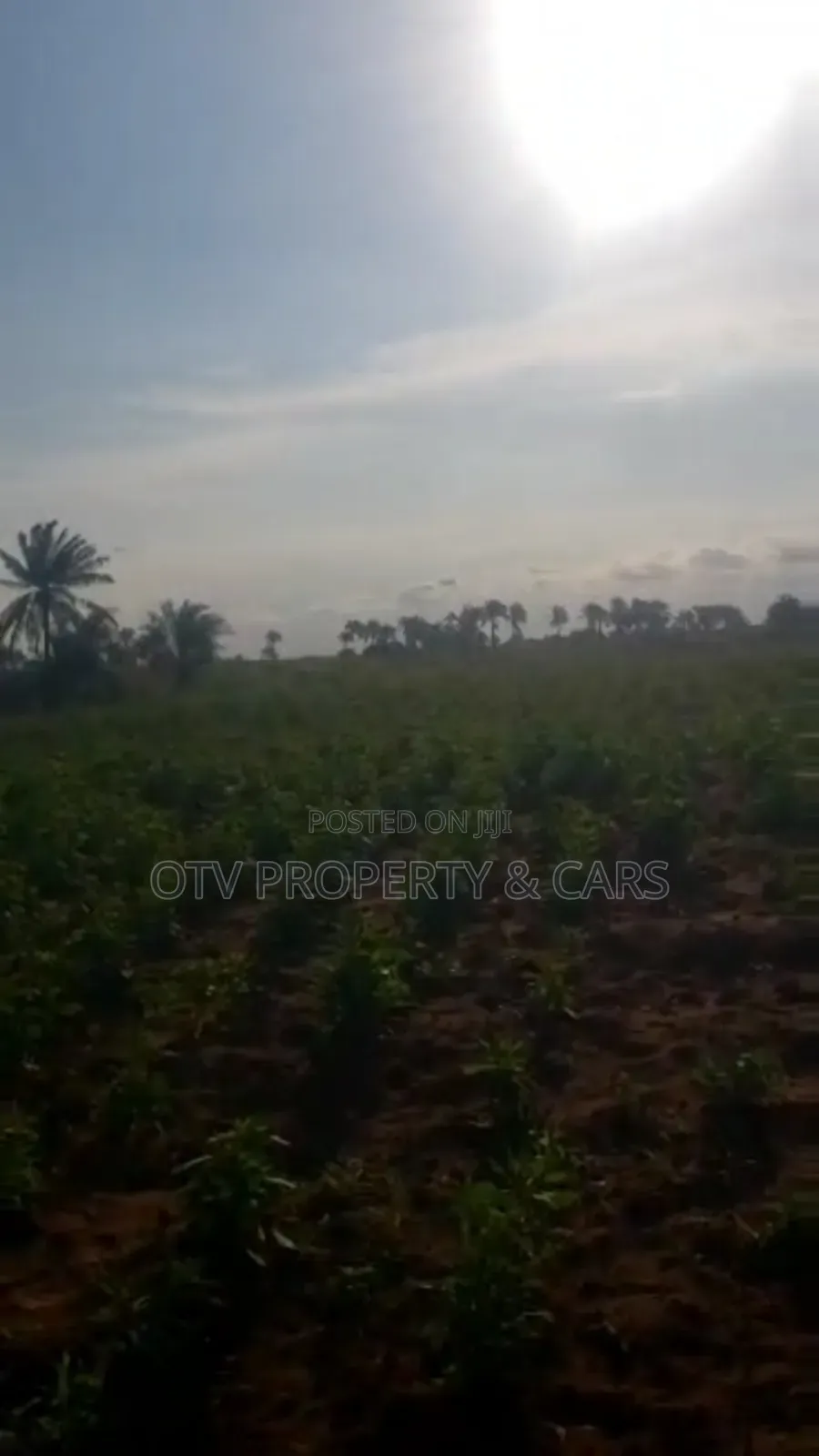 215 Acres of Land for Sale at Ogun #6m/Acre With C of O