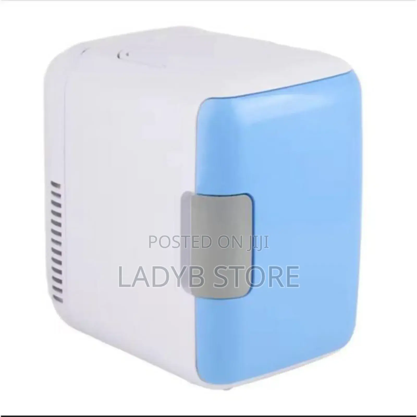 4l Mini Fridge/Portable Cooler For Car, Office,Home