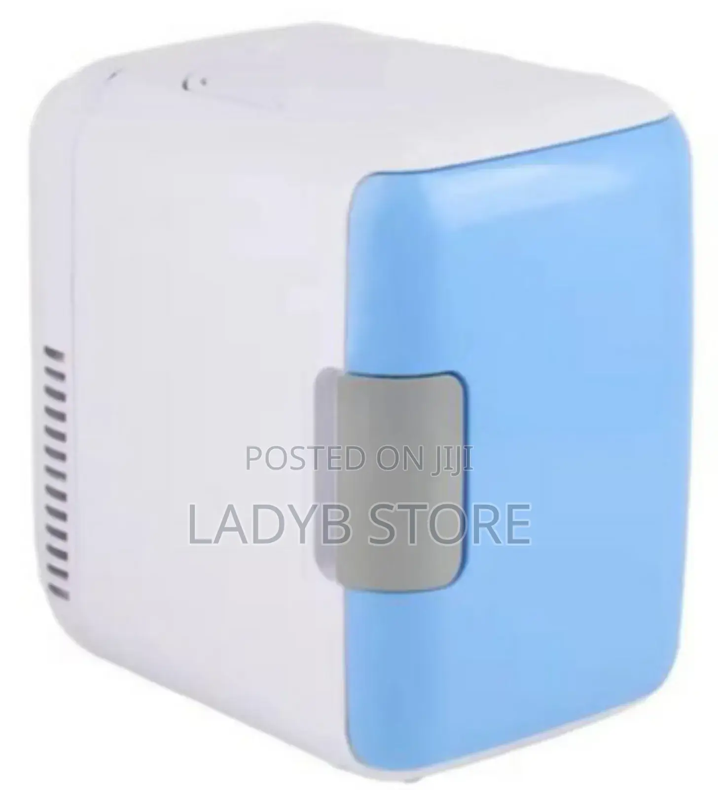 4l Mini Fridge/Portable Cooler For Car, Office,Home