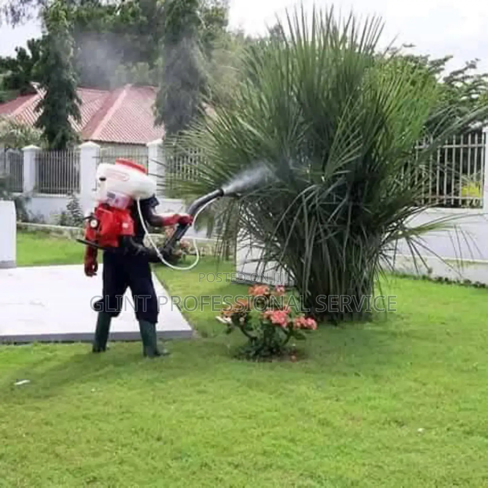 Gardening Services for Organizations and Homes.