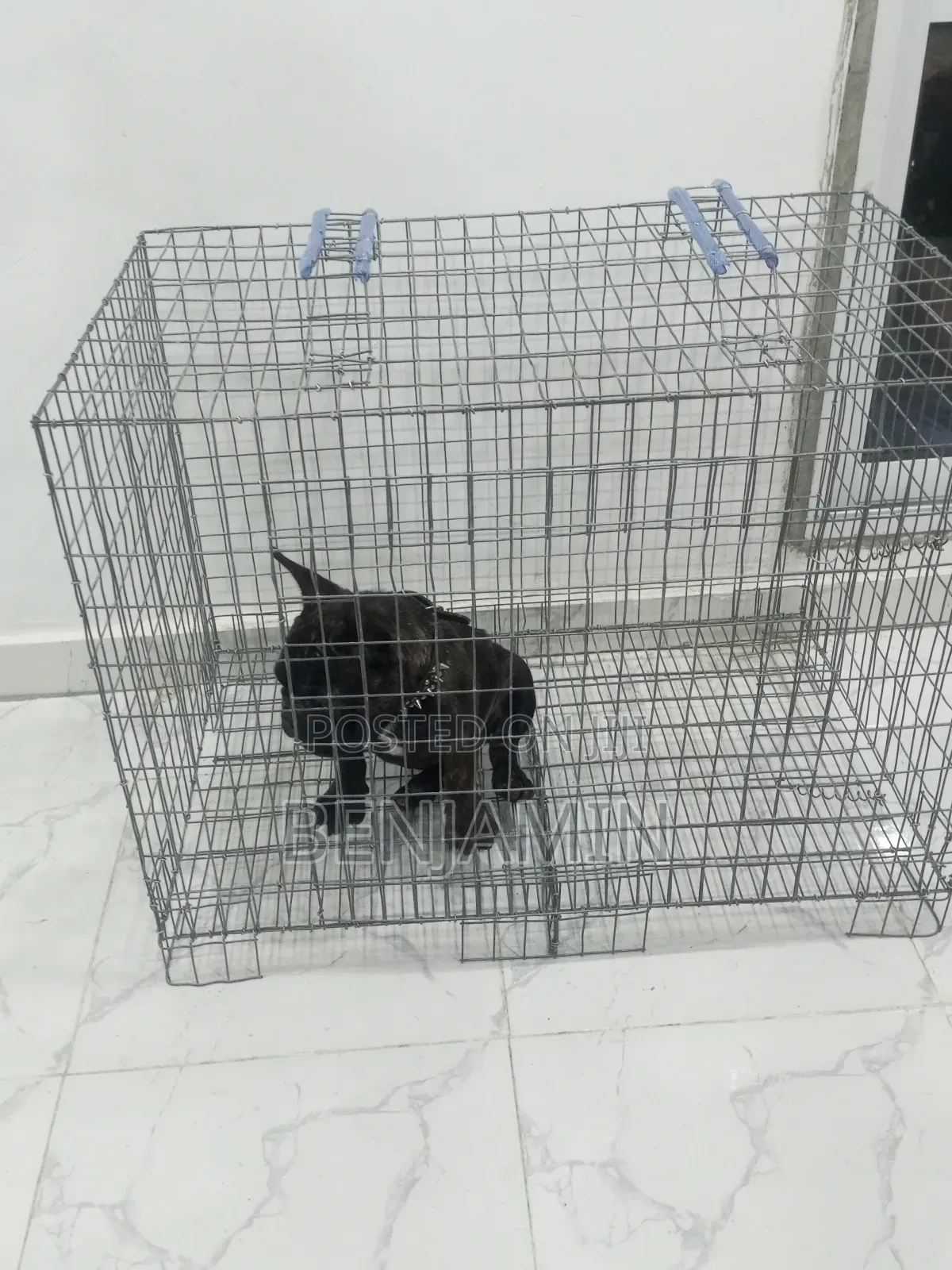 Non Collapsible Size 3 Standard Dog Cage