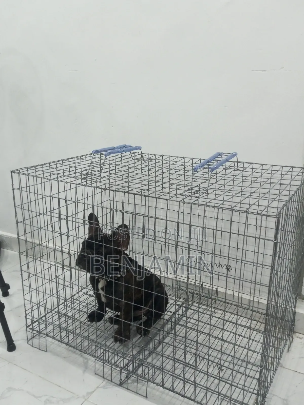 Non Collapsible Size 3 Standard Dog Cage