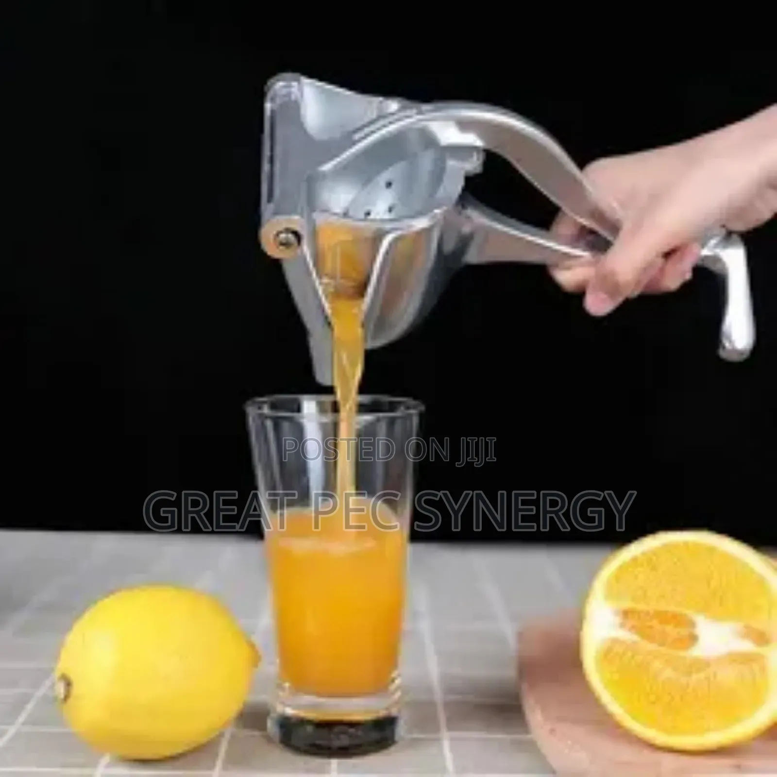 Manual Juice Press