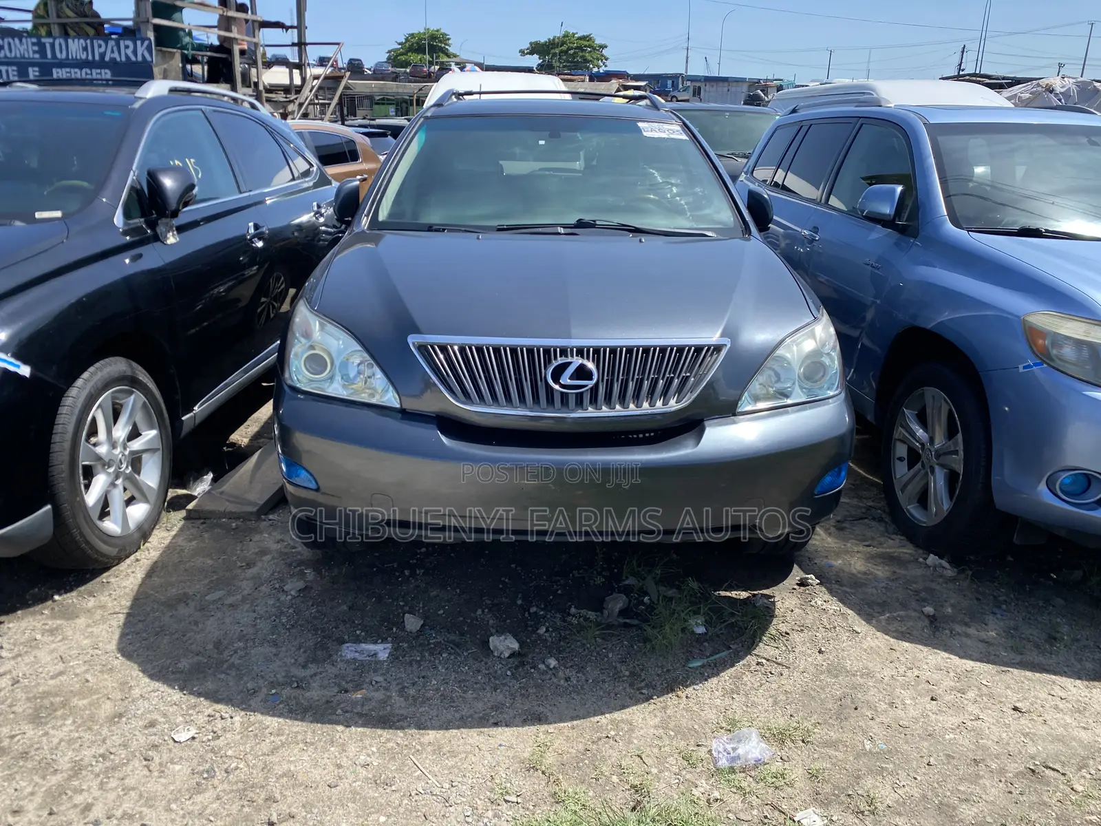 Lexus RX 330 2005 Gray