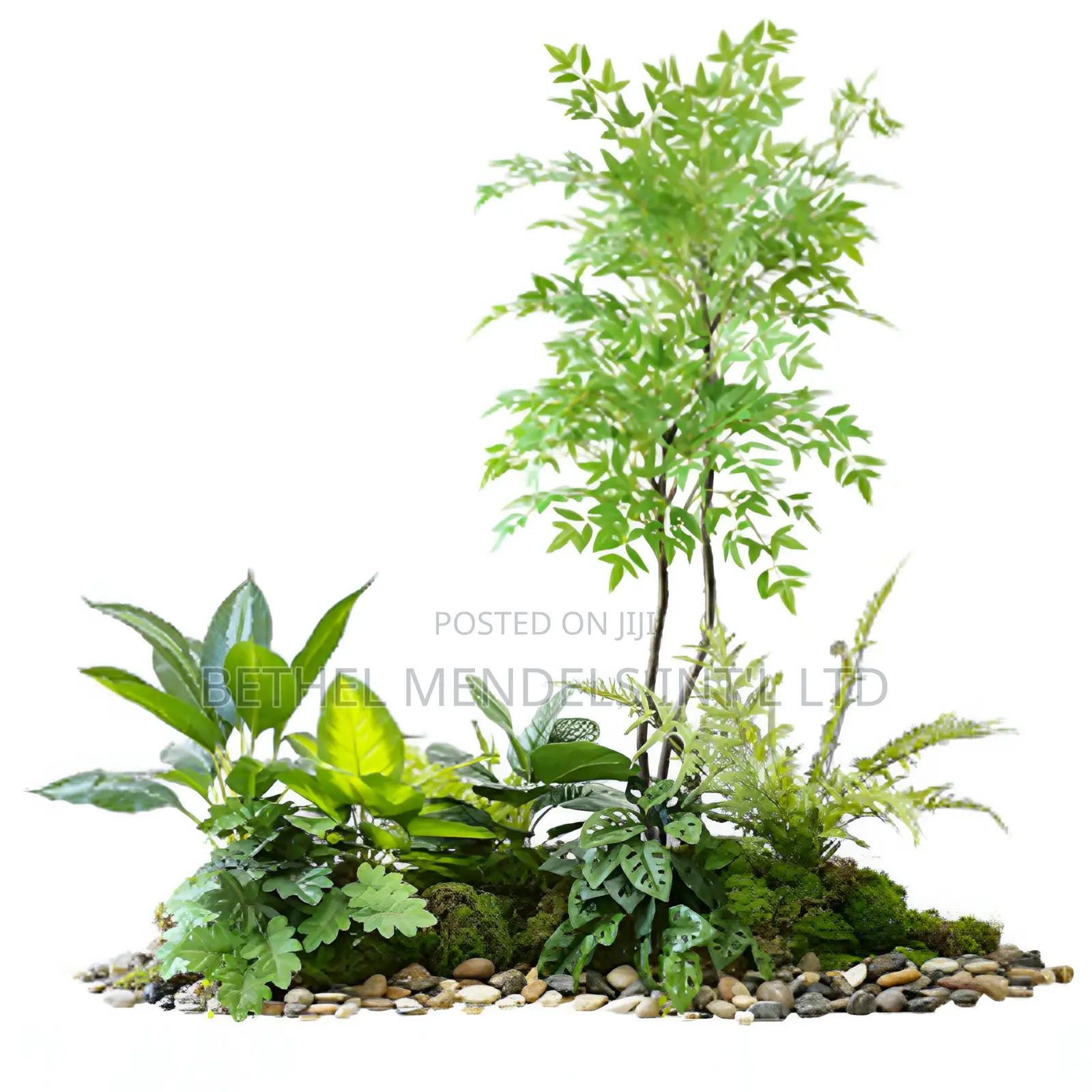 Elegant Indoor Landscaping Design With Decorative Stones