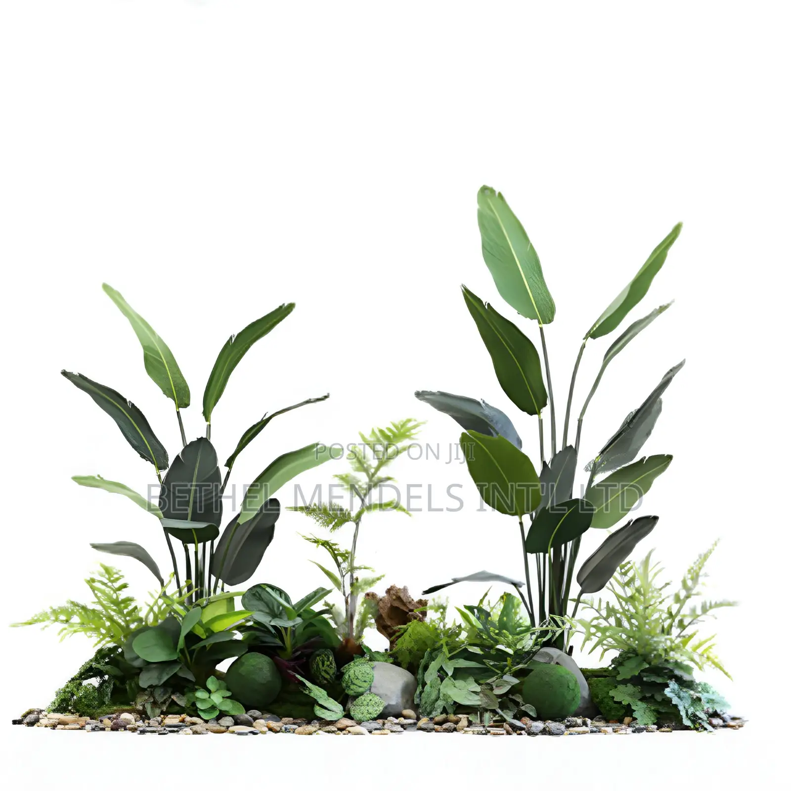 Elegant Indoor Landscaping Design With Decorative Stones