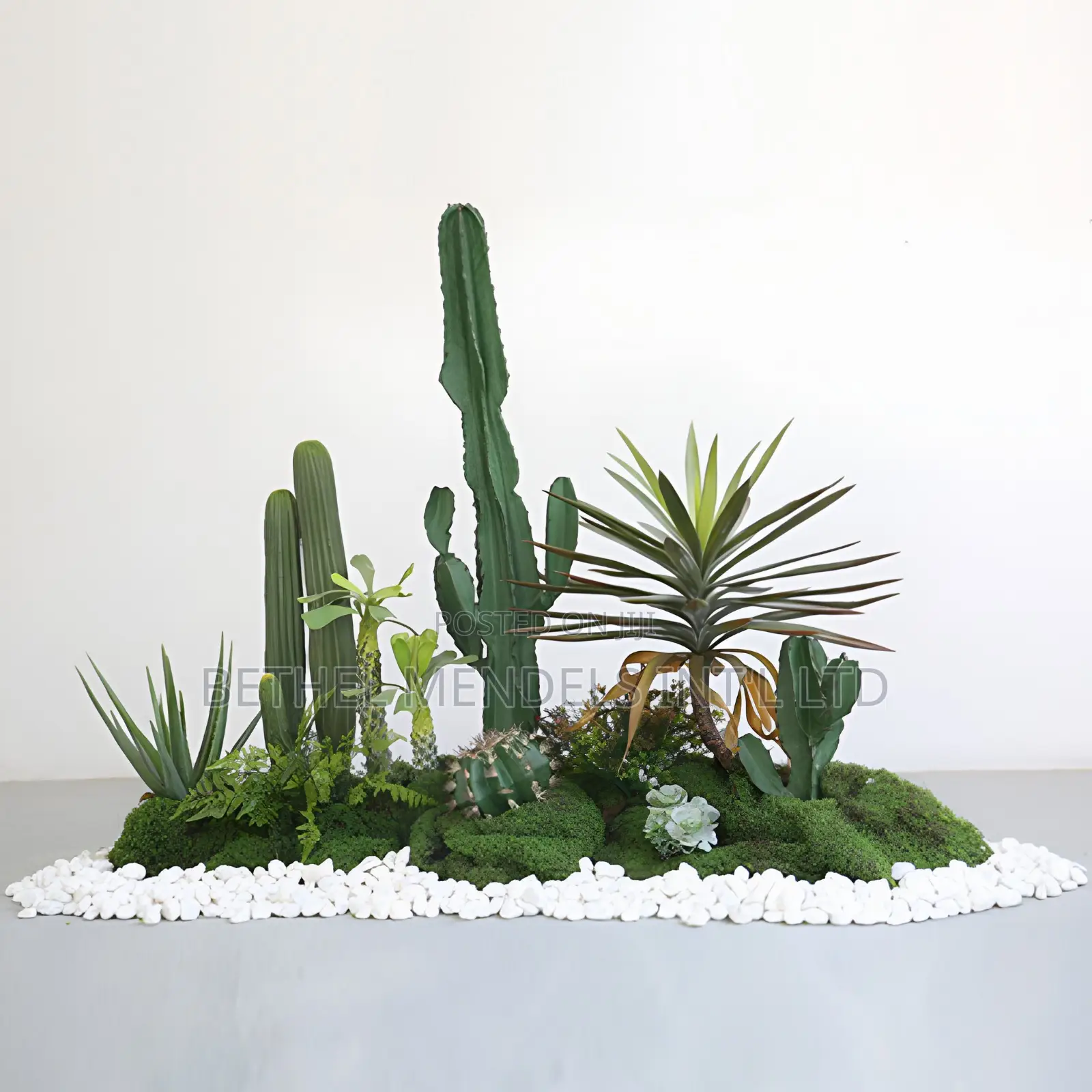 Cactus Landscaping Design With Green Moss And White Stones