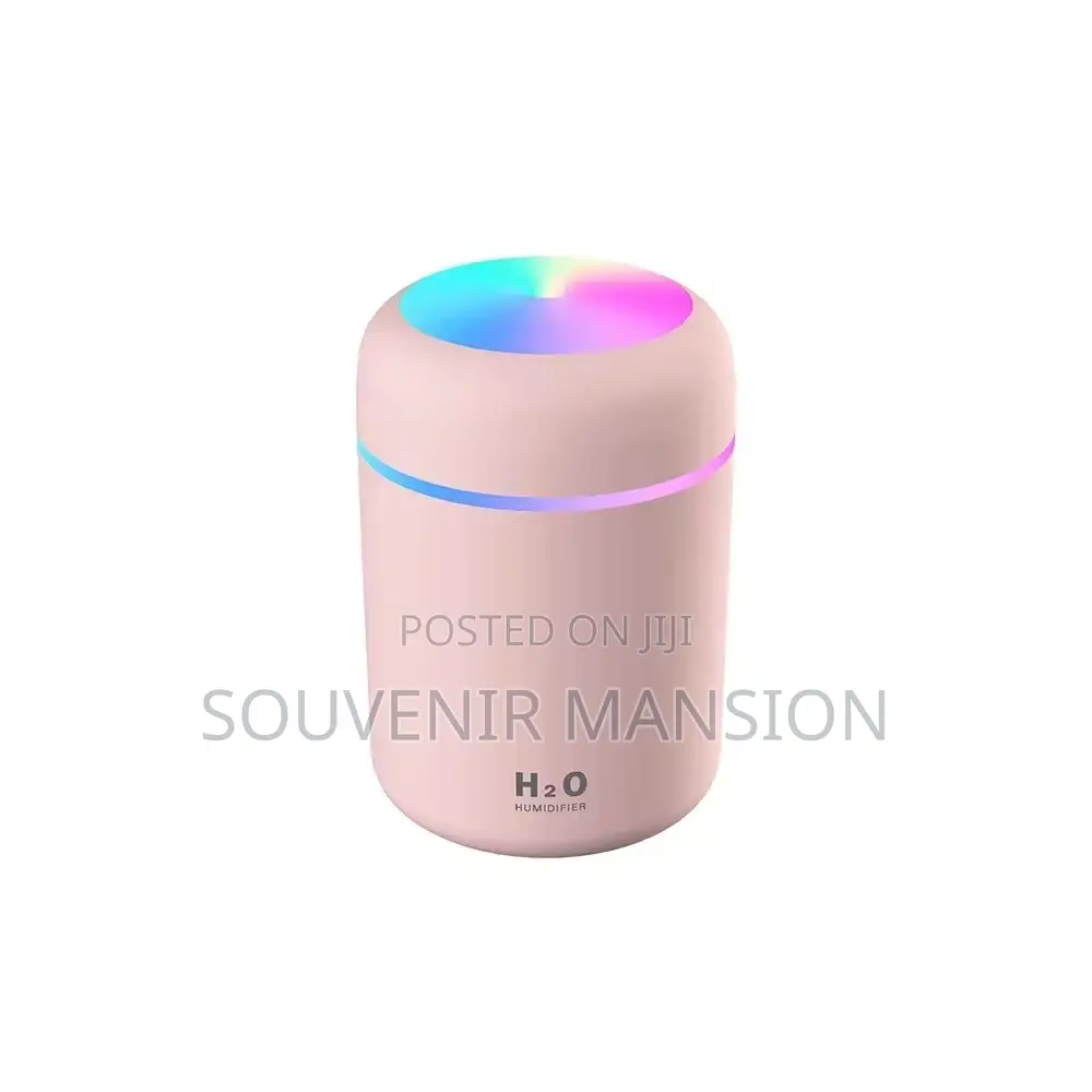 Rainbow Portable Humidifier