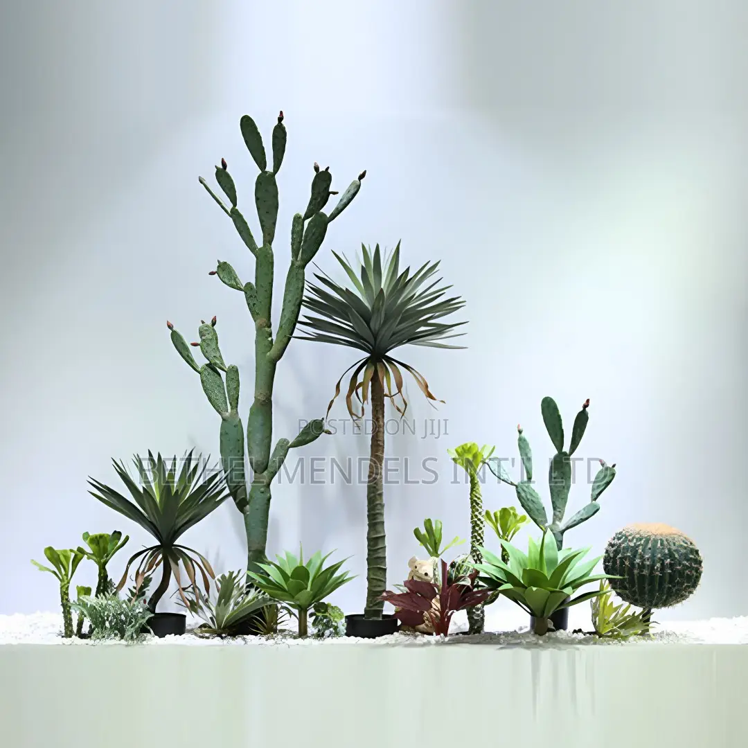 Indoor Artificial Greenery – Cactus Landscaping Design