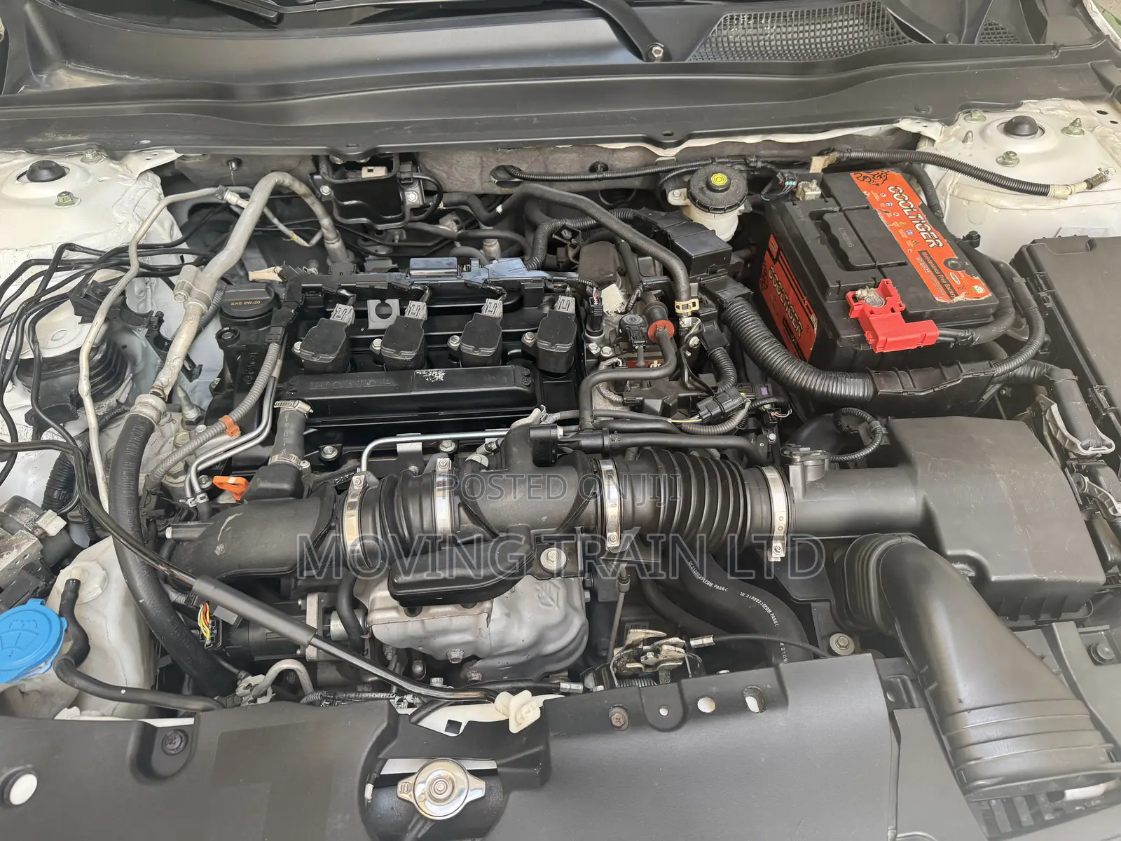 Honda Accord EX CVT w/o BSI 2023 White