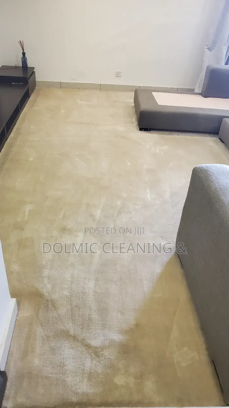 Standard Sofa And Rug Cleaning