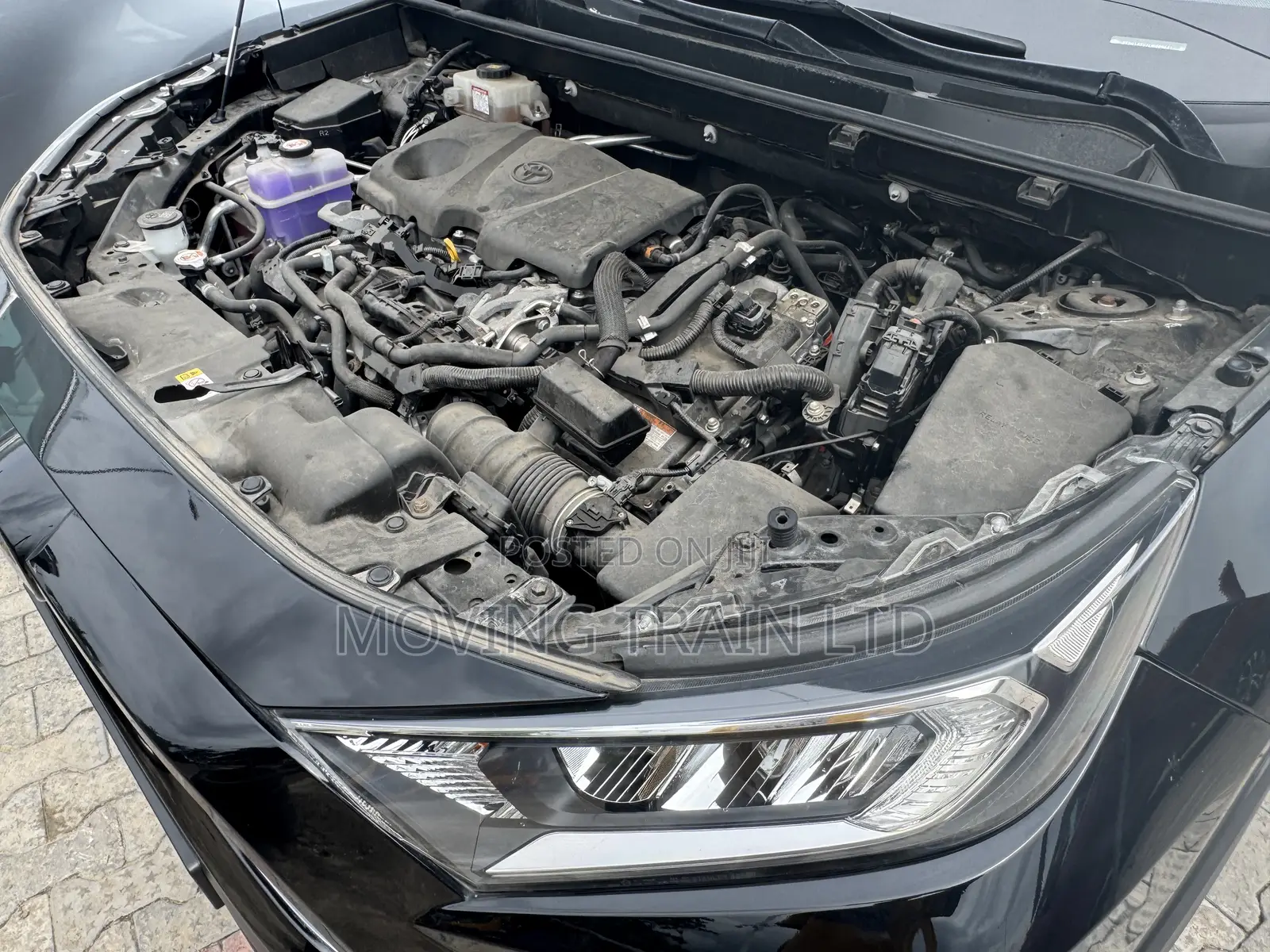 Toyota RAV4 XLE Premium AWD 2020 Black