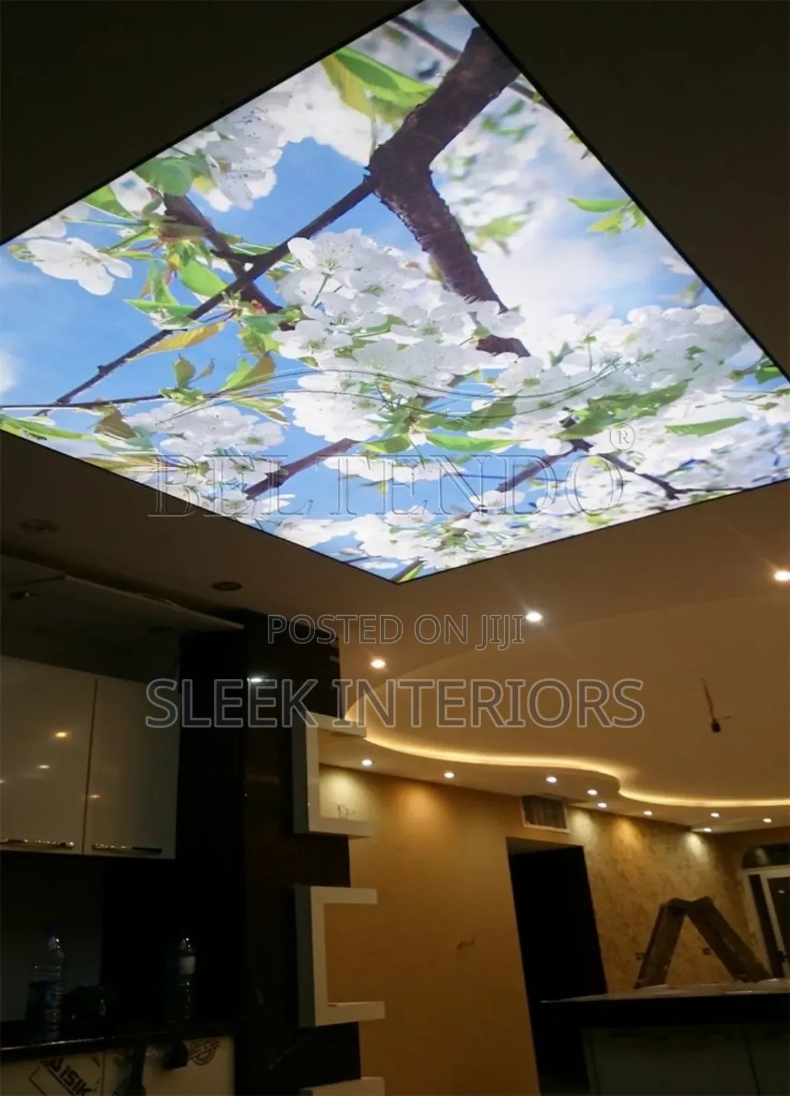 High Quality Stretch Ceiling