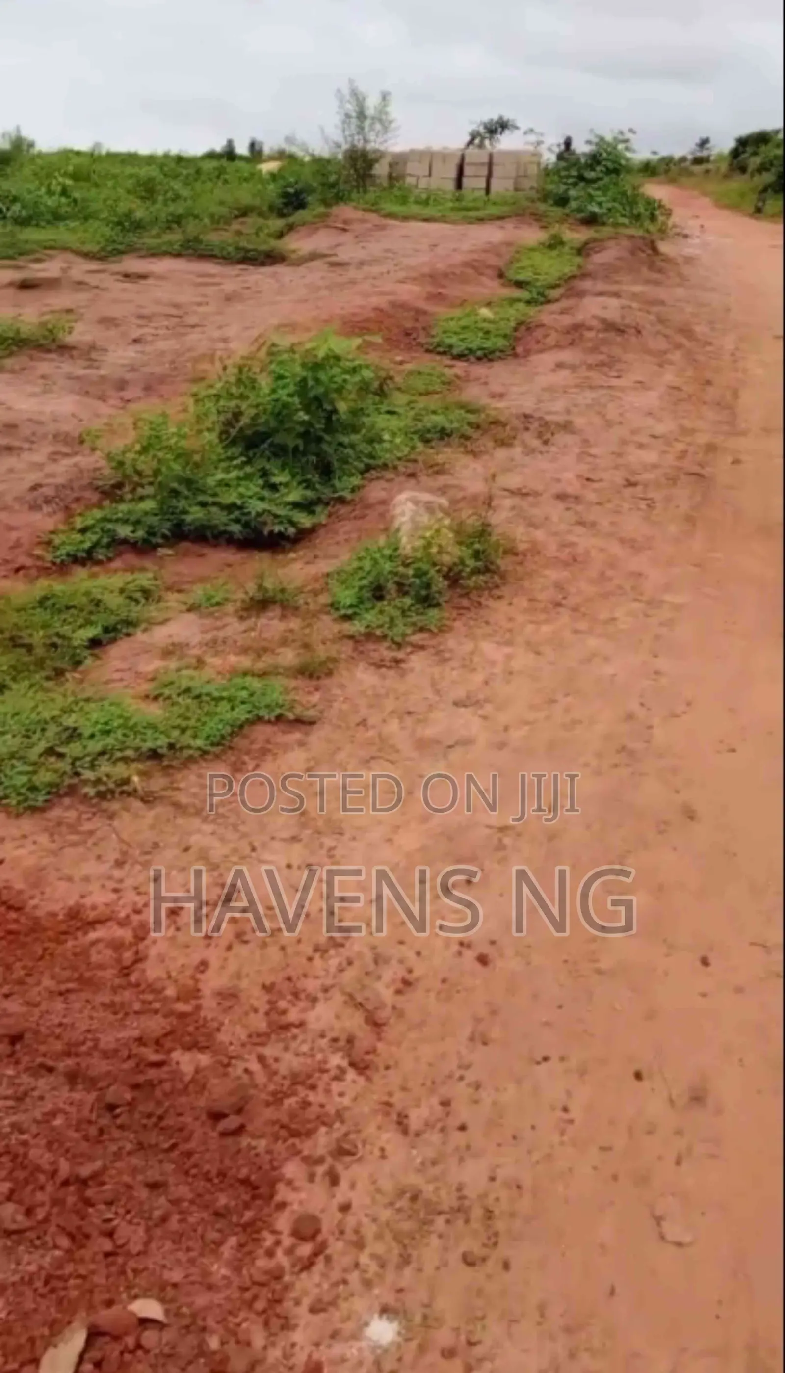 Invest in St. Kitts Estate — A Fast-Developing Gem!