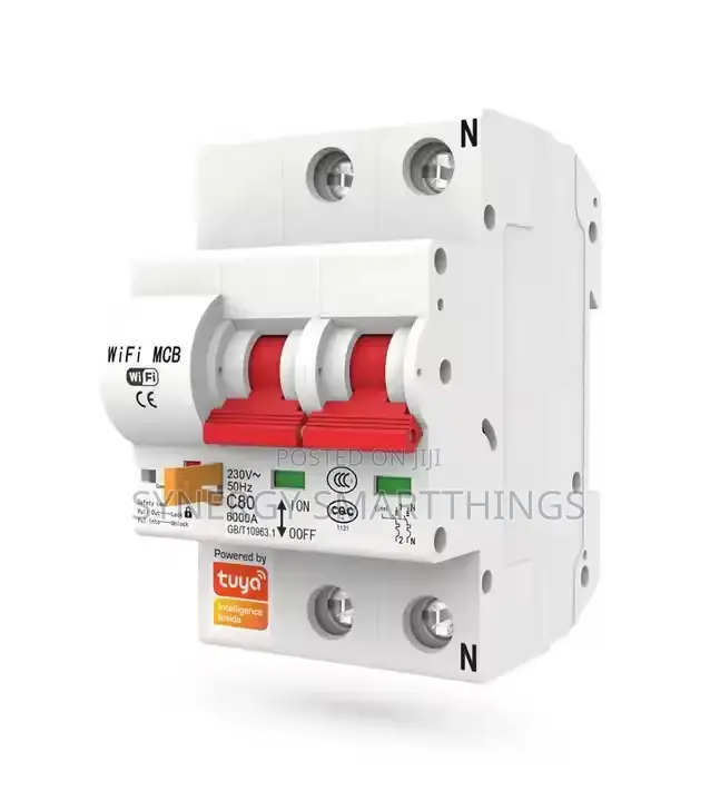 Wi-Fi Circuit Breaker Tuya Smart Life 2p - 63a