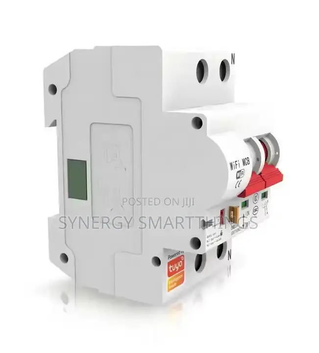 Wi-Fi Circuit Breaker Tuya Smart Life 2p - 63a