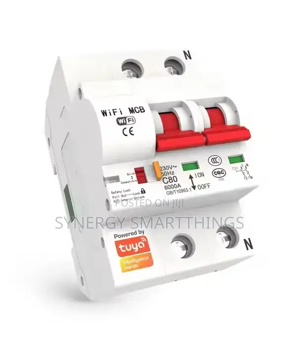 Wi-Fi Circuit Breaker Tuya Smart Life 2p - 63a