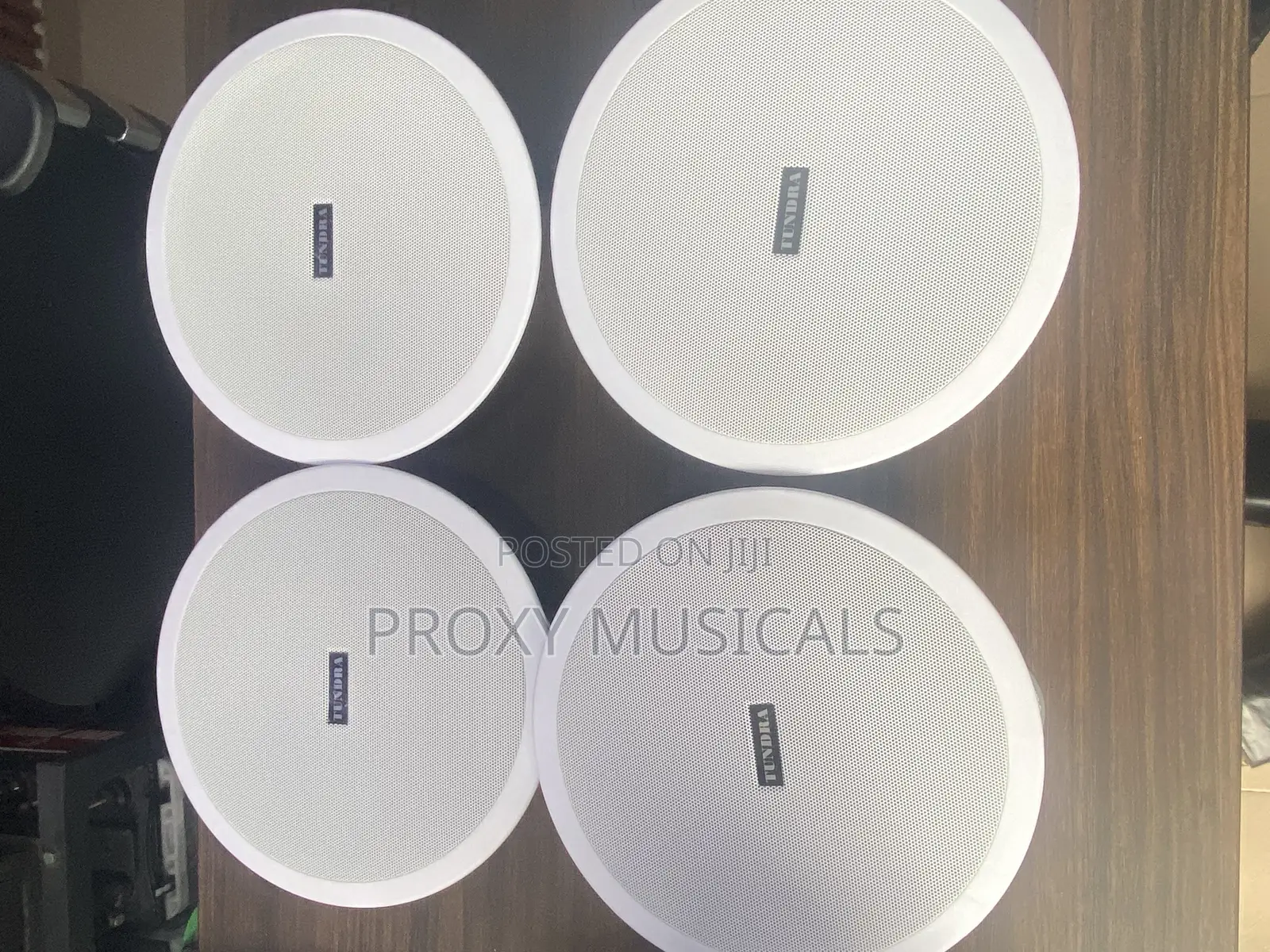 Tundra Ceiling Speaker 15 Watts