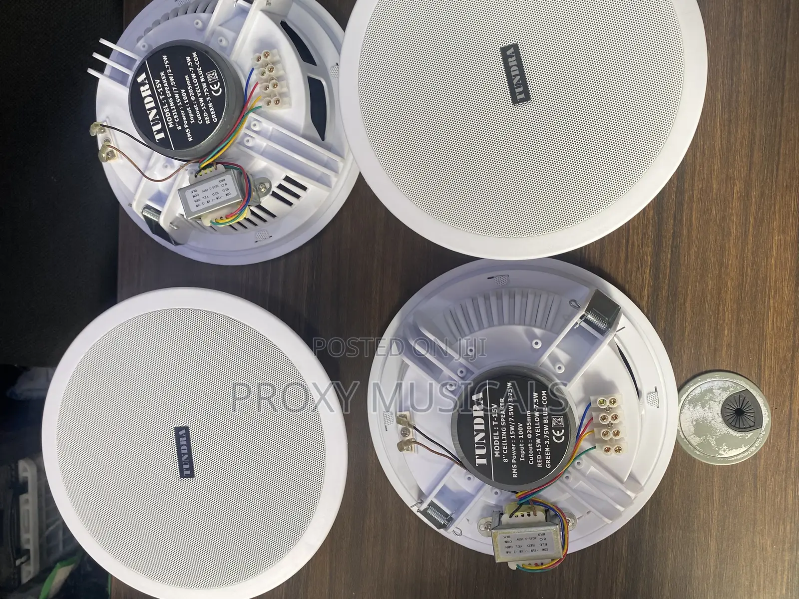 Tundra Ceiling Speaker 15 Watts