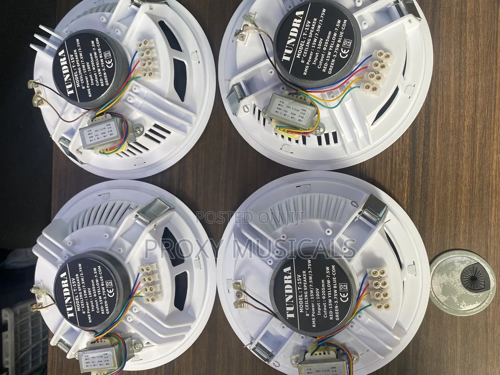 Tundra Ceiling Speaker 15 Watts
