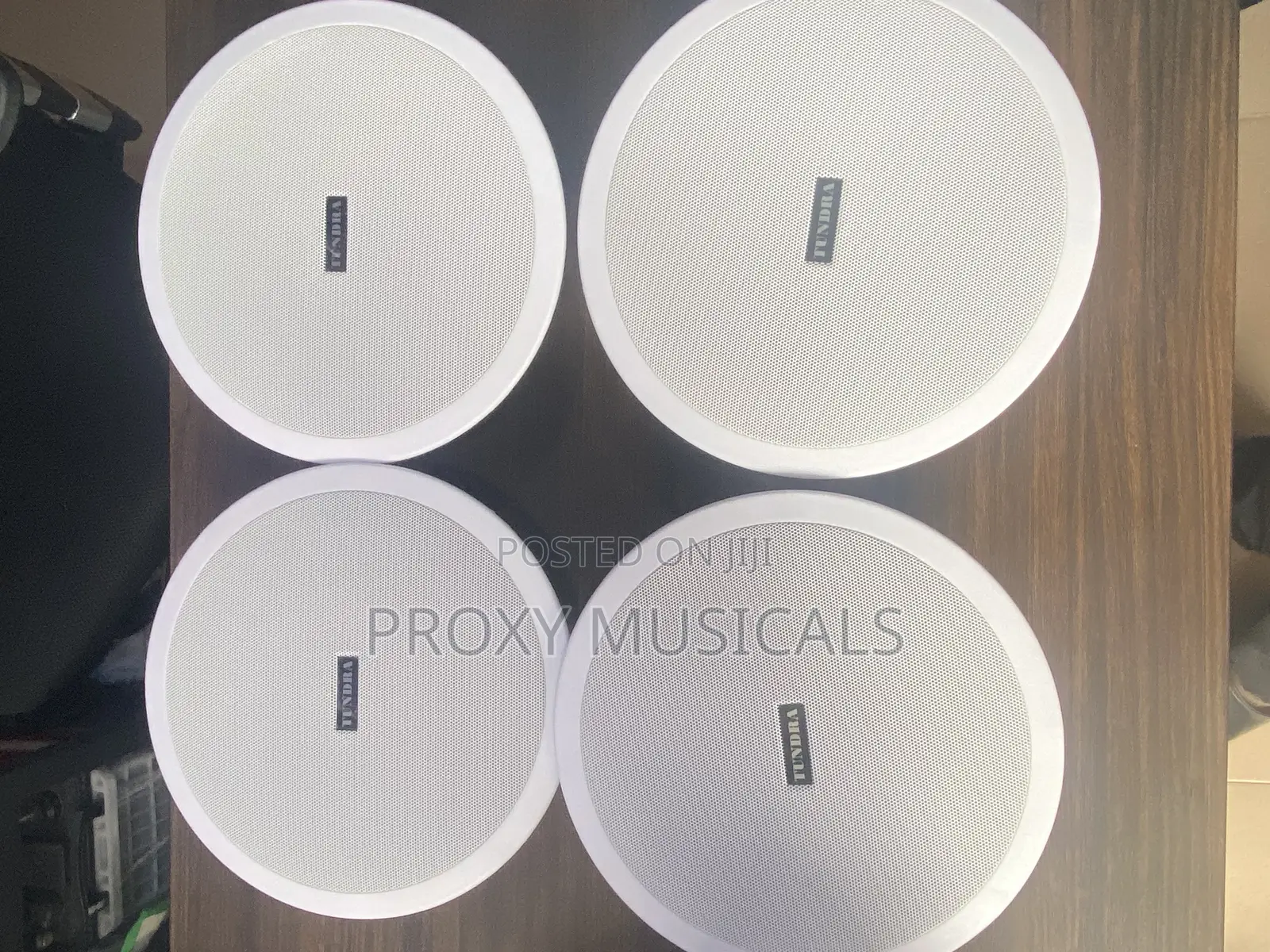 Tundra Ceiling Speaker 15 Watts