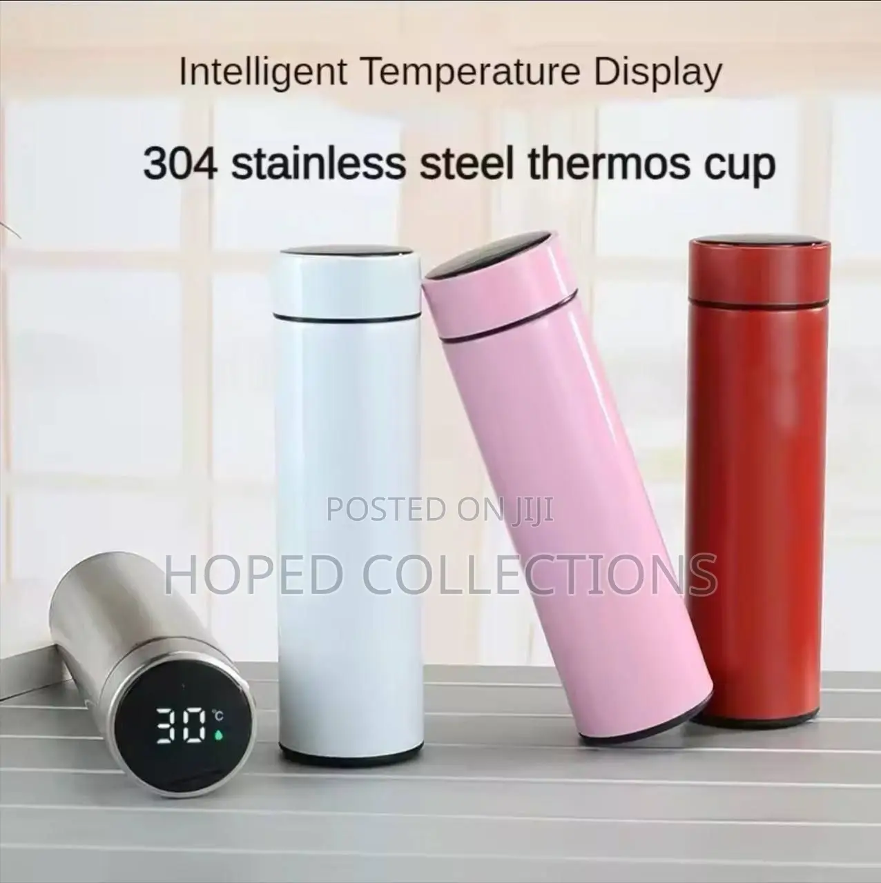 Stainless Steel Thermo Bottle