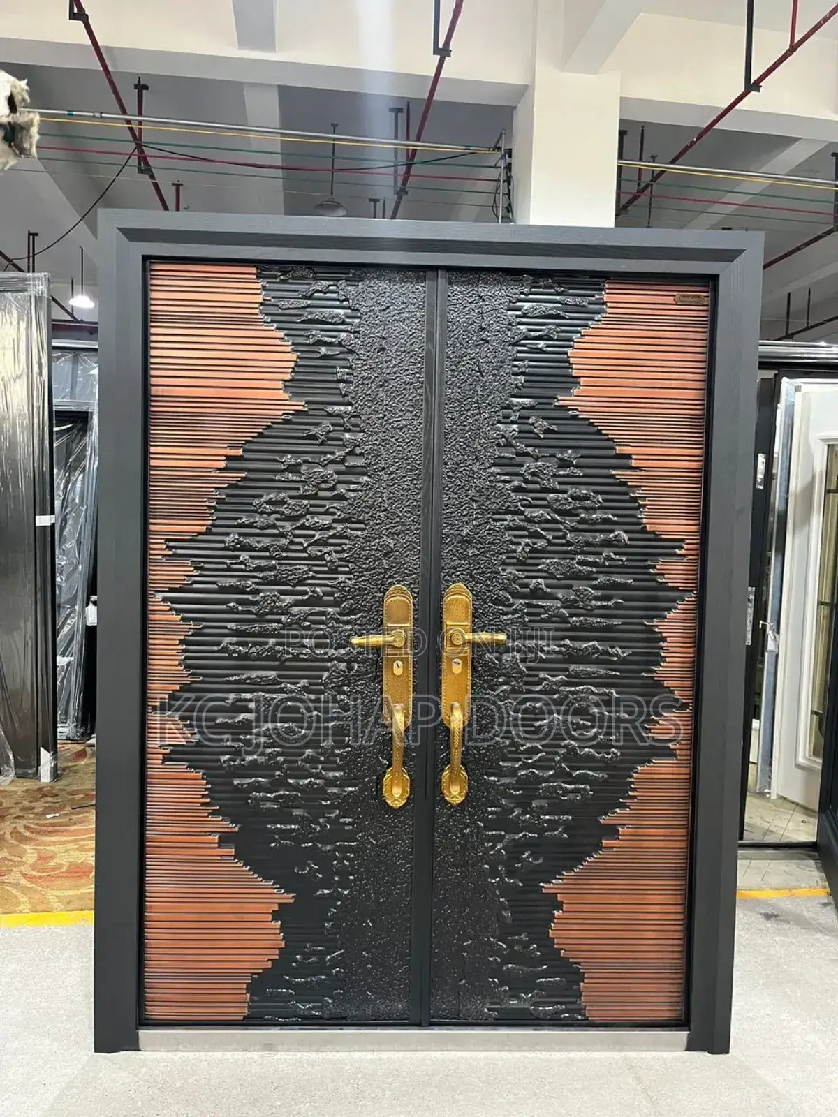 Security Entrance Door