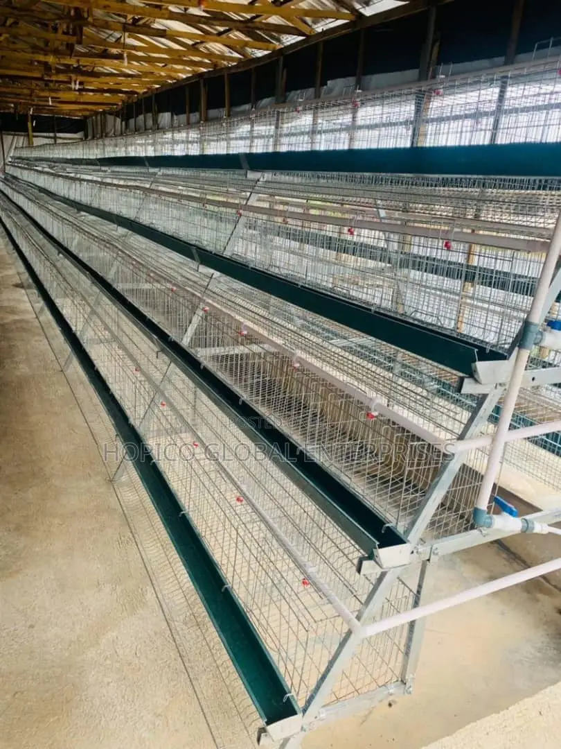 Imported Battery Cage