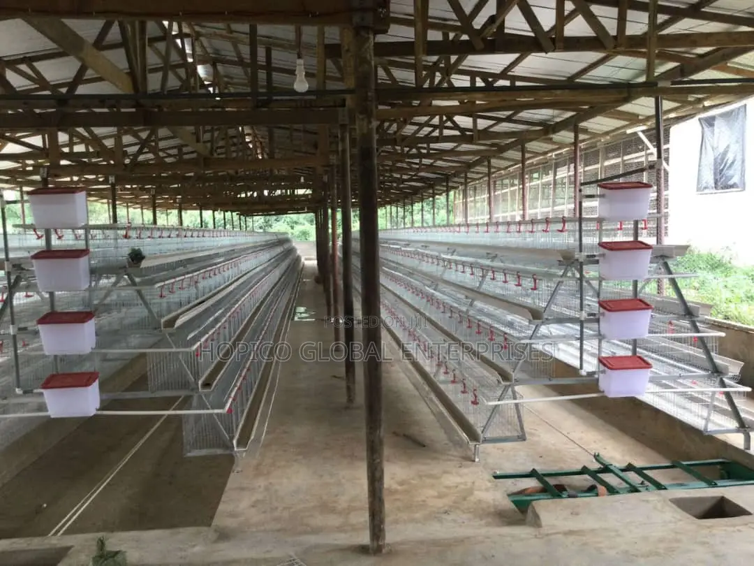 Imported Battery Cage